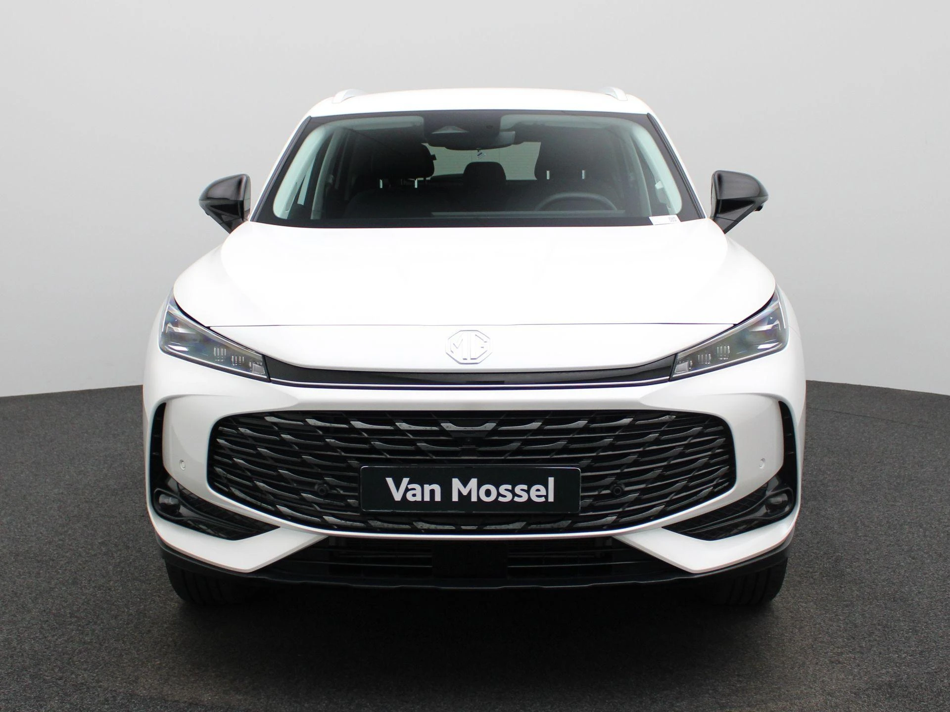 MG-HS-image-3