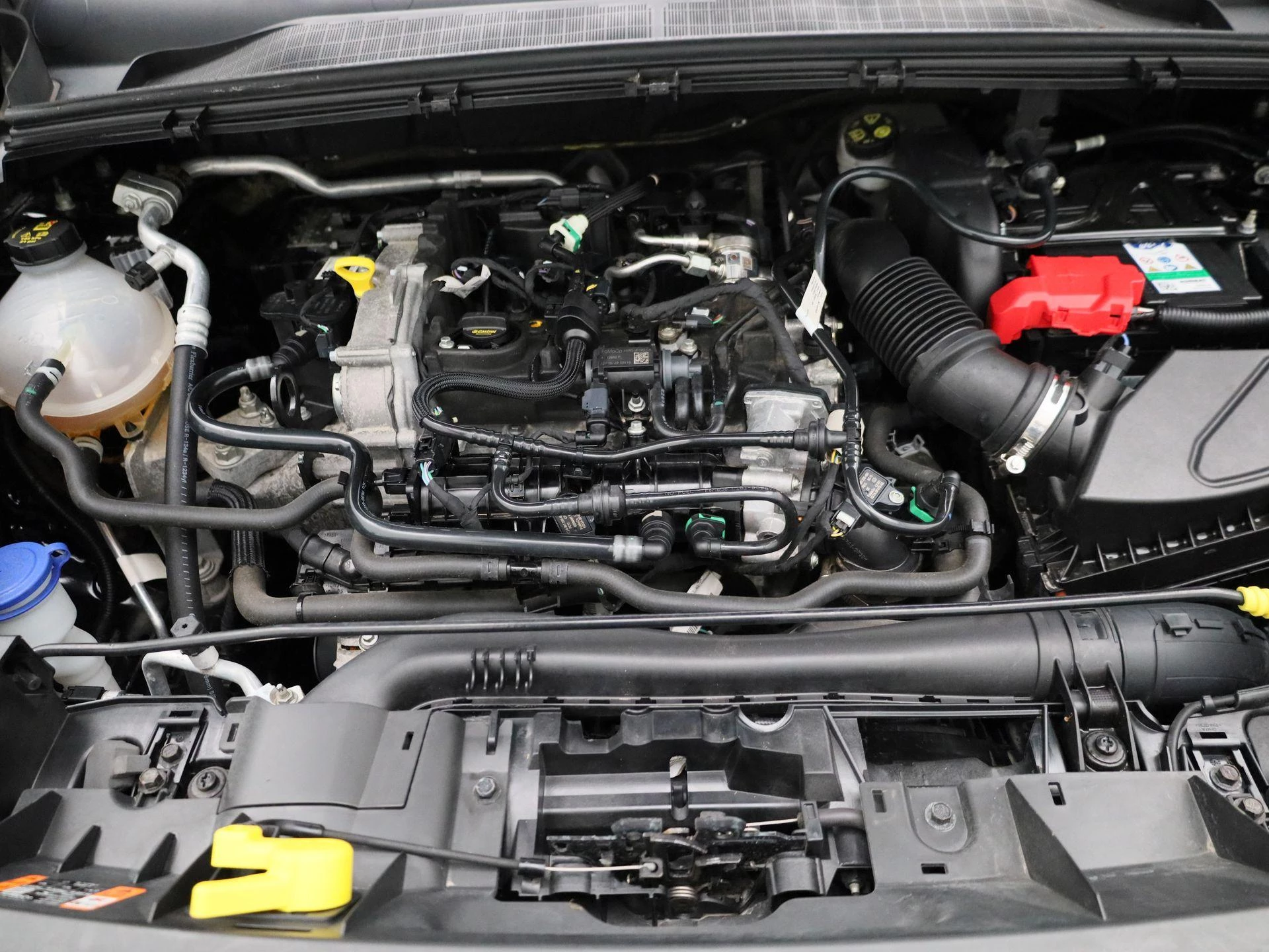Ford-Puma-image-28