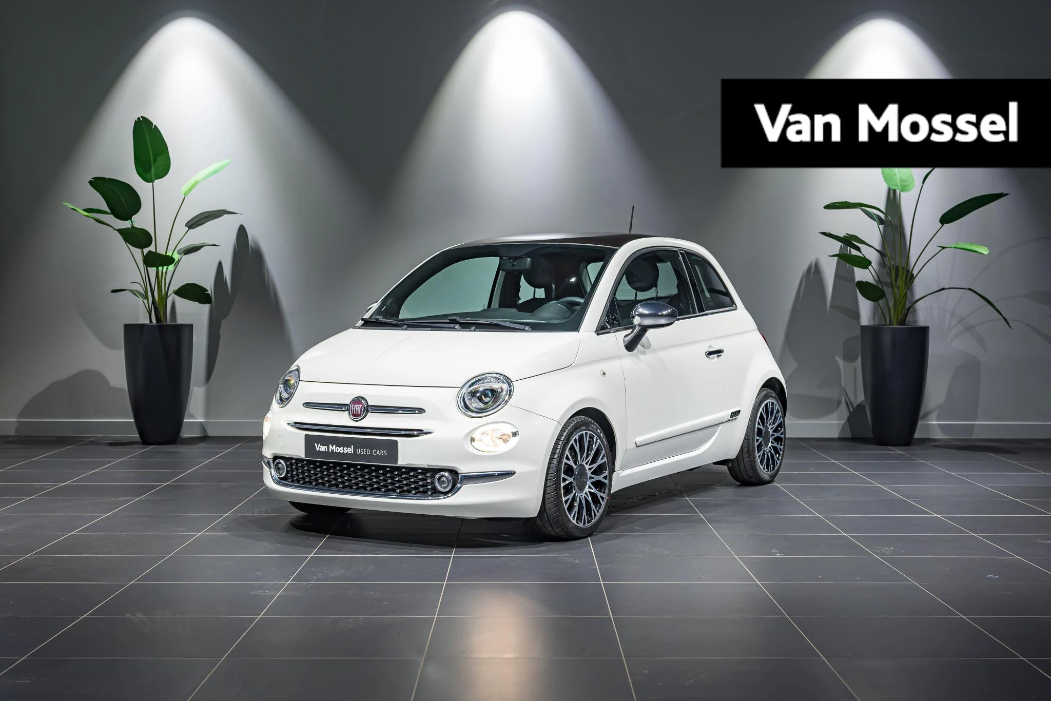 Fiat-500-image-0