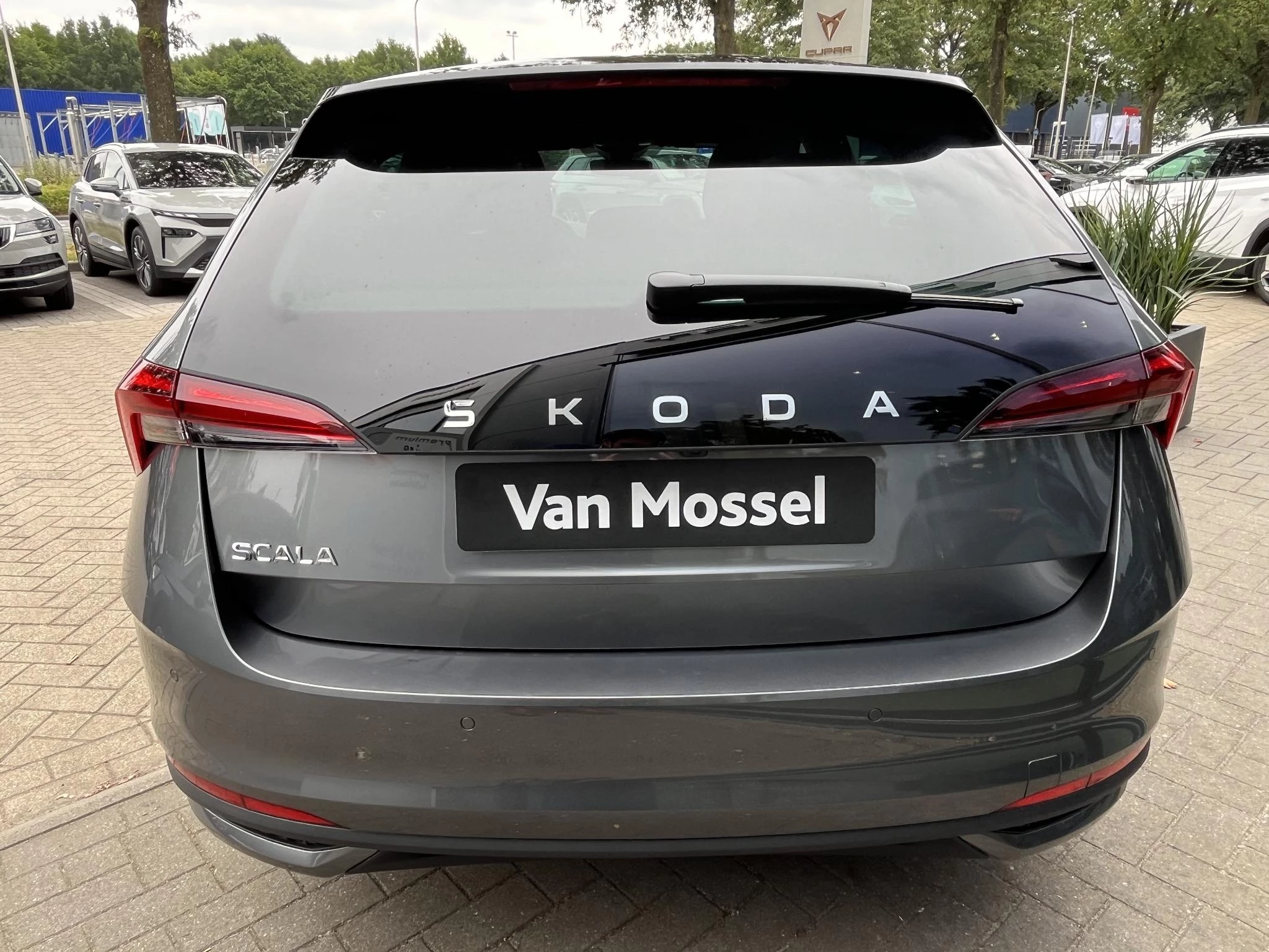 Škoda Scala 1.0 TSI Business Edition
