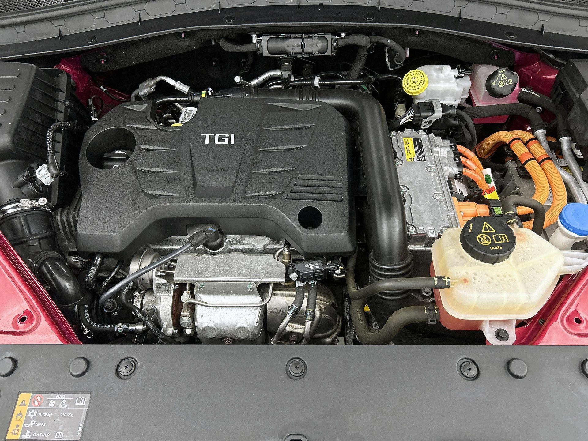 MG-EHS-image-38