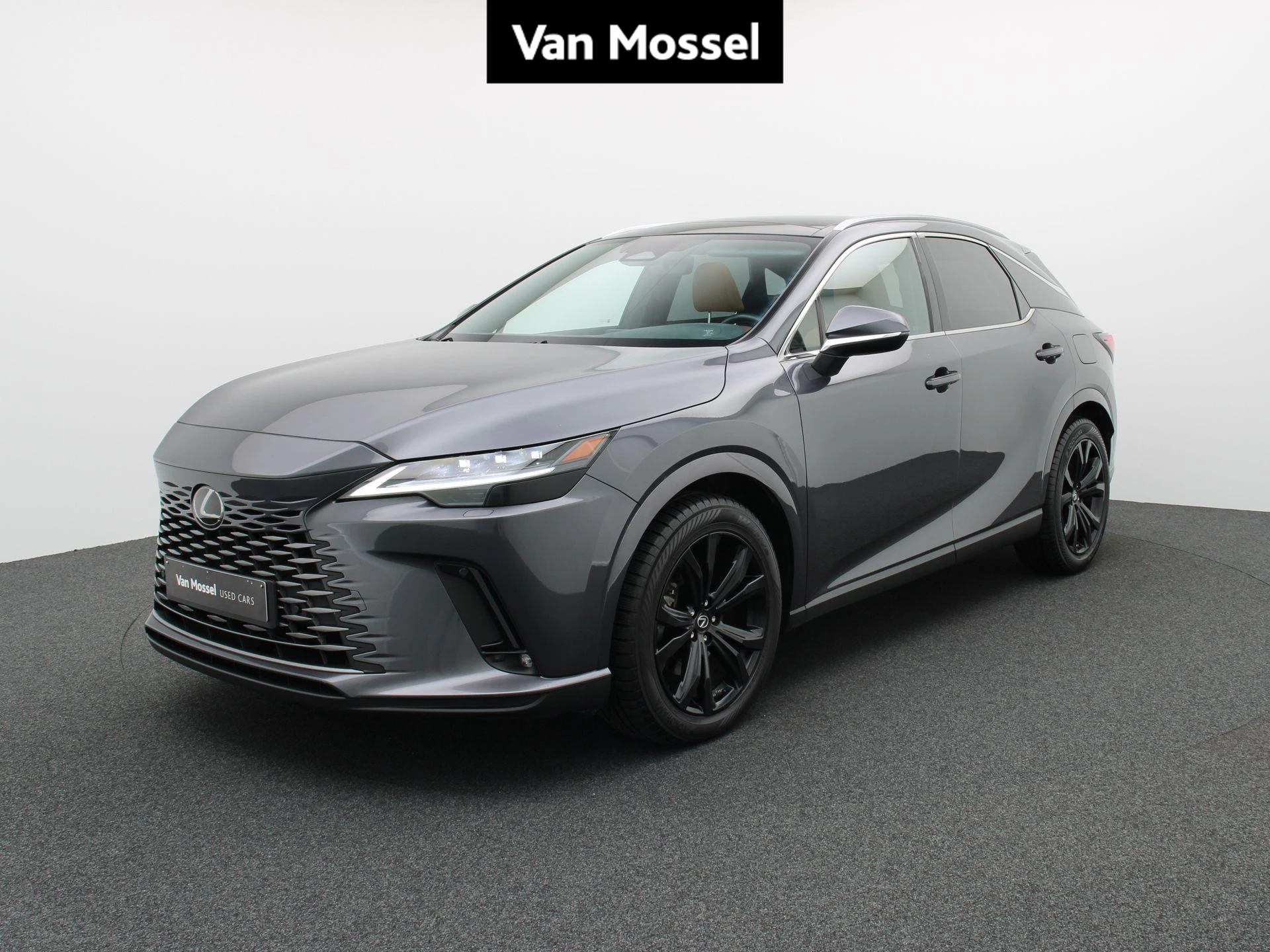 Lexus-RX-image-0