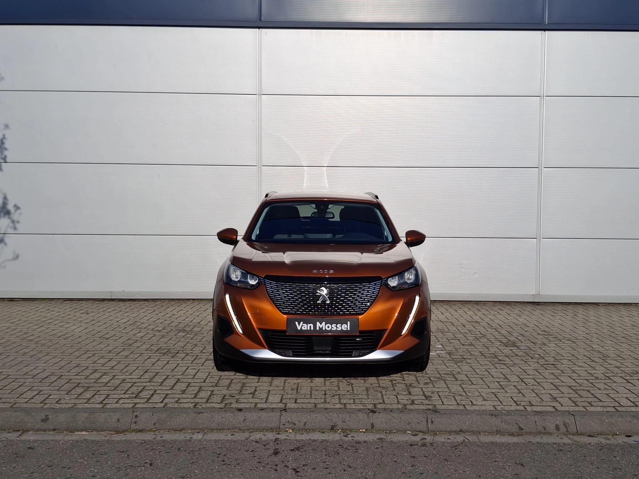 Peugeot-2008-image-7