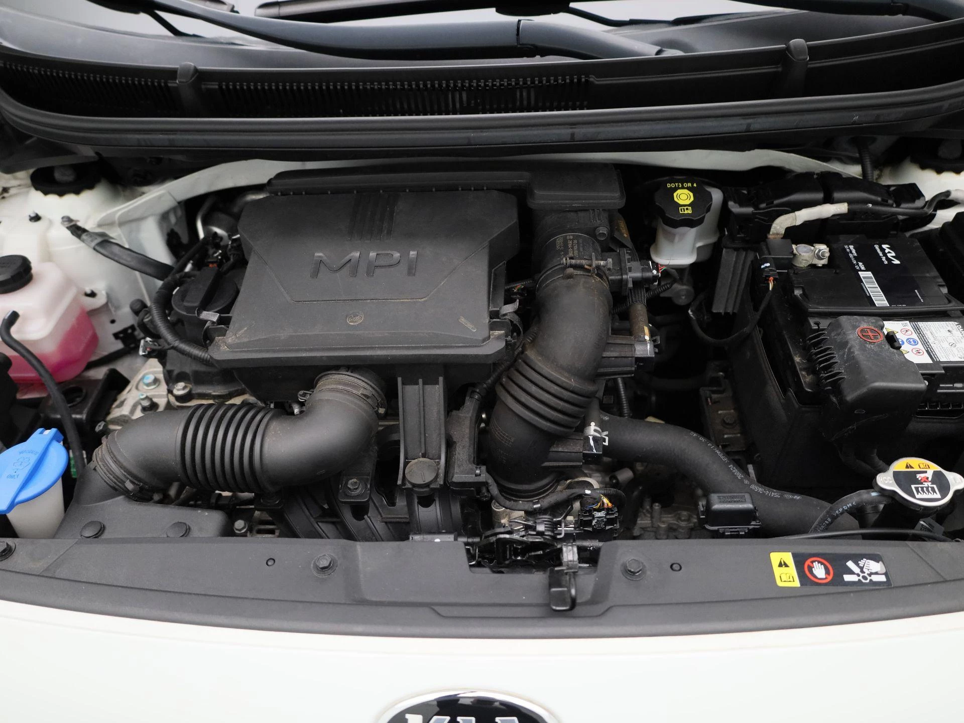 Kia-Picanto-image-24