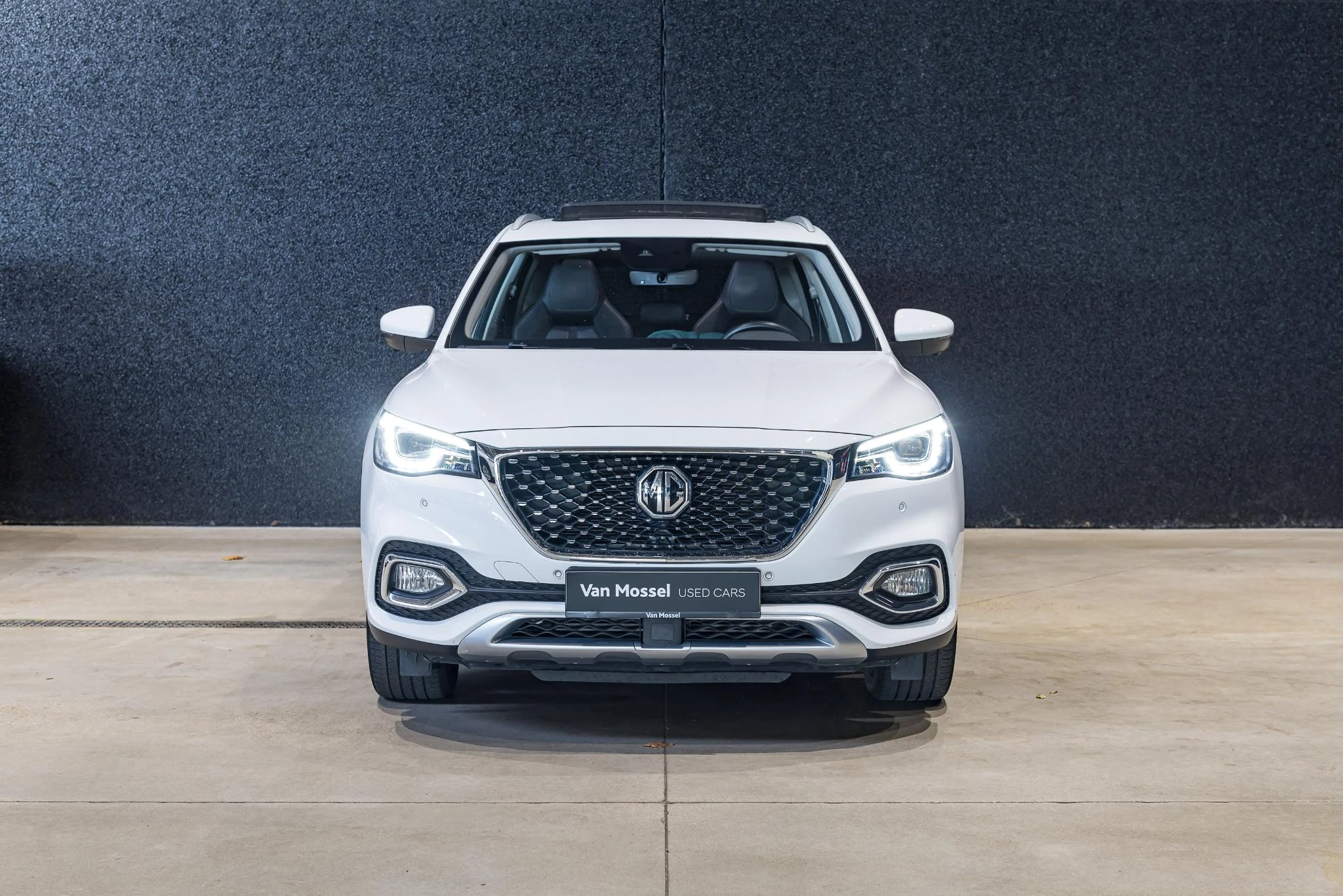 MG-HS-image-1
