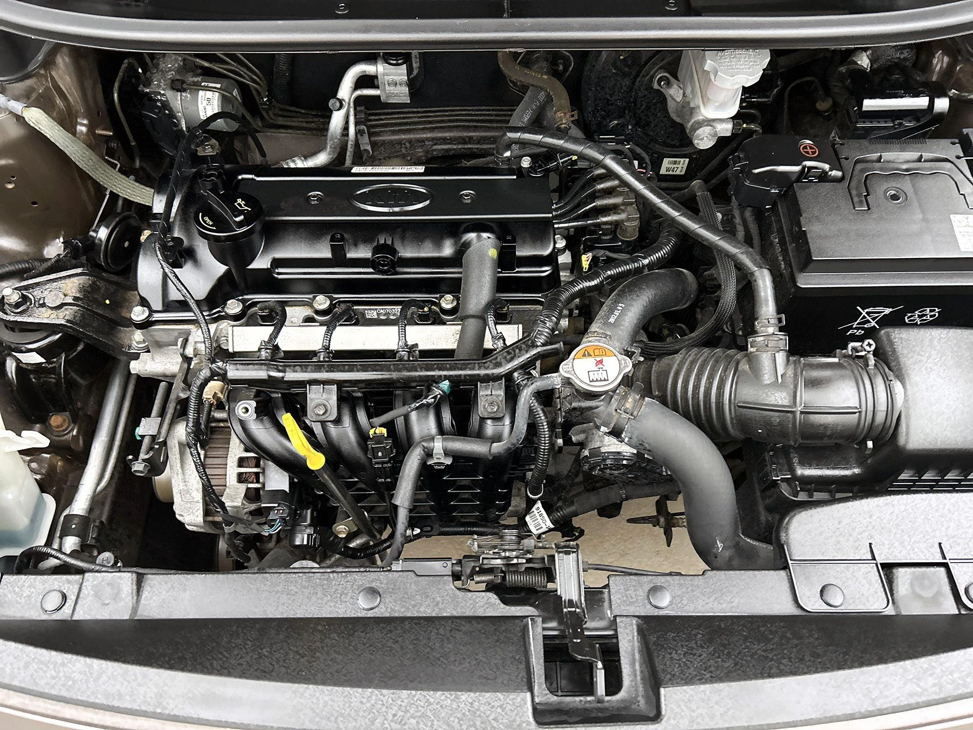 Kia-Rio-image-26