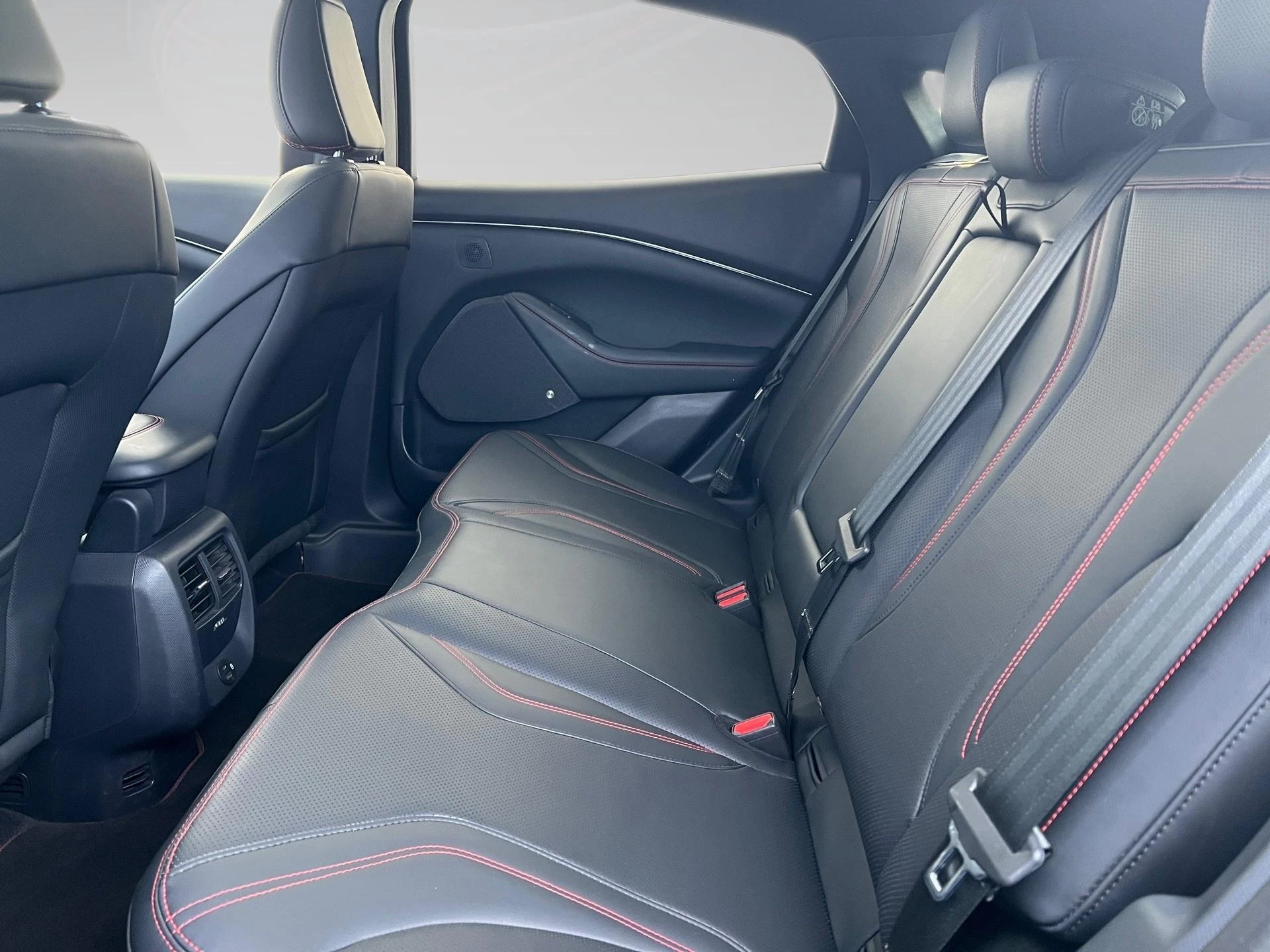 Ford-Mustang Mach-E-image-10