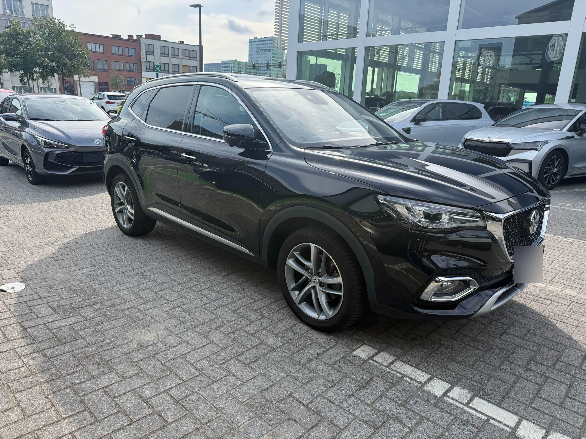 MG-EHS-image-1