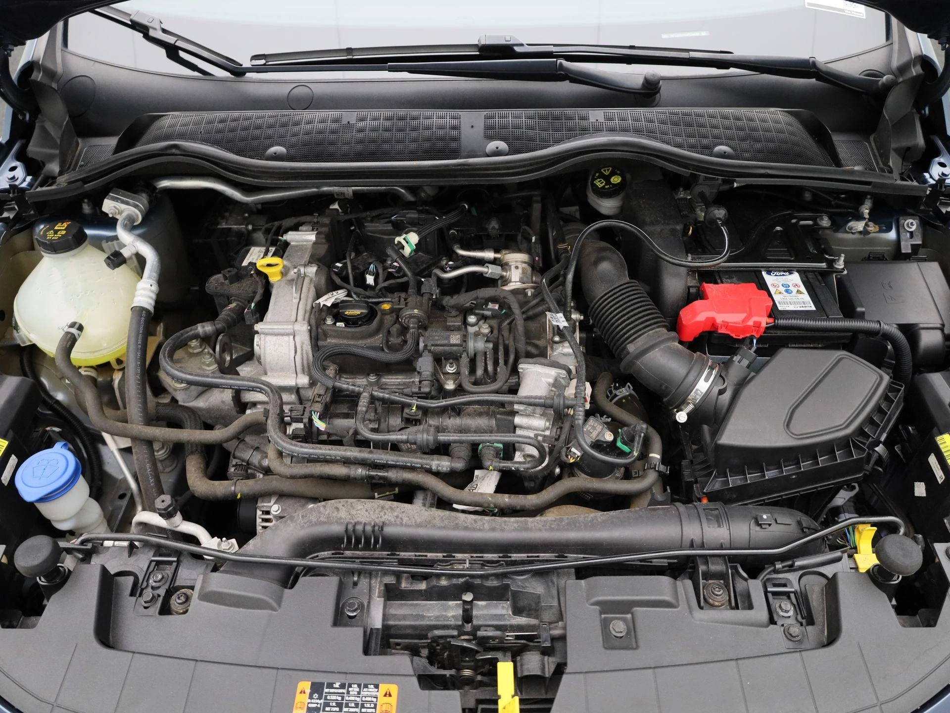 Ford-Fiesta-image-33