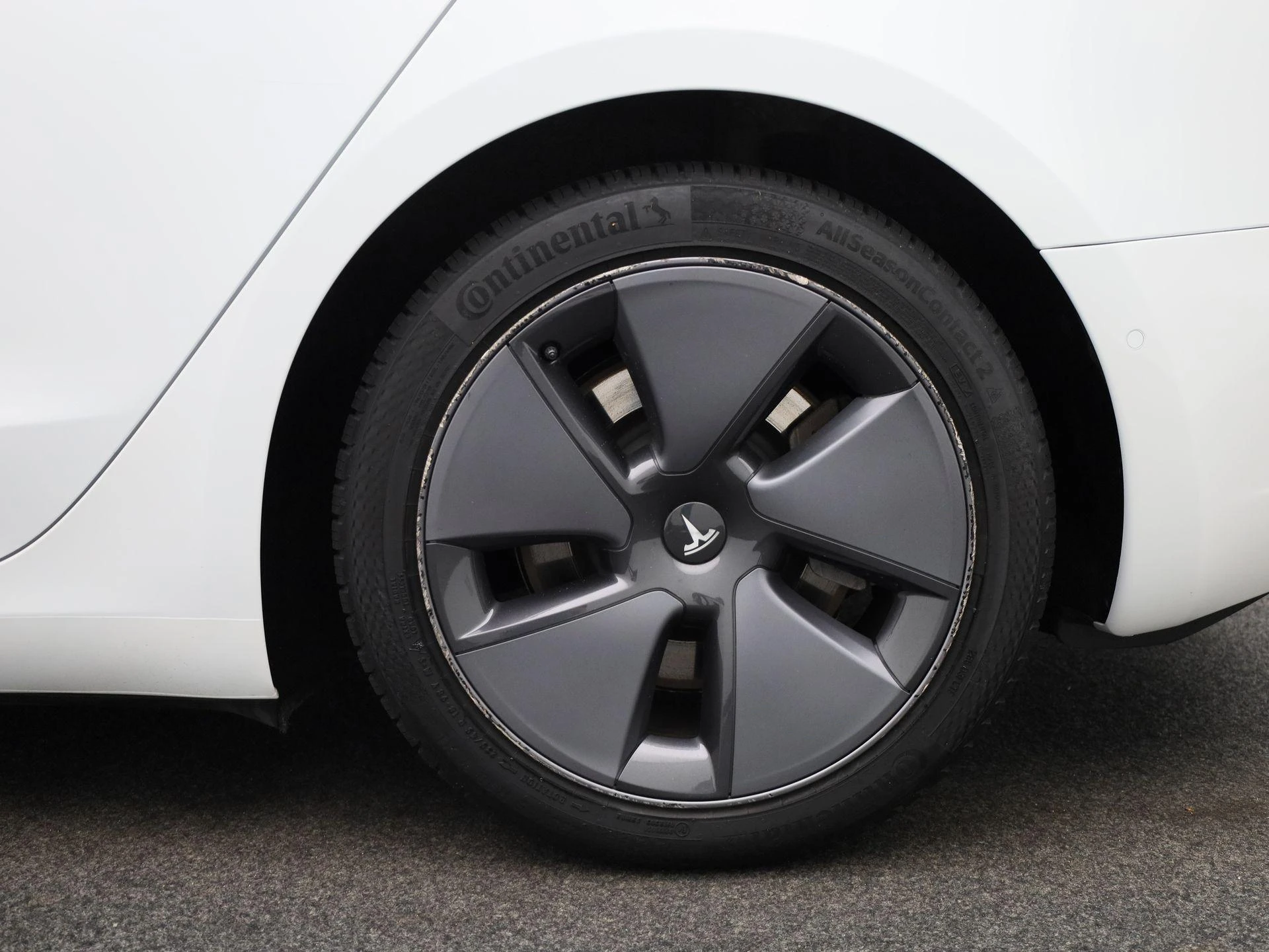 Tesla-Model 3-image-10