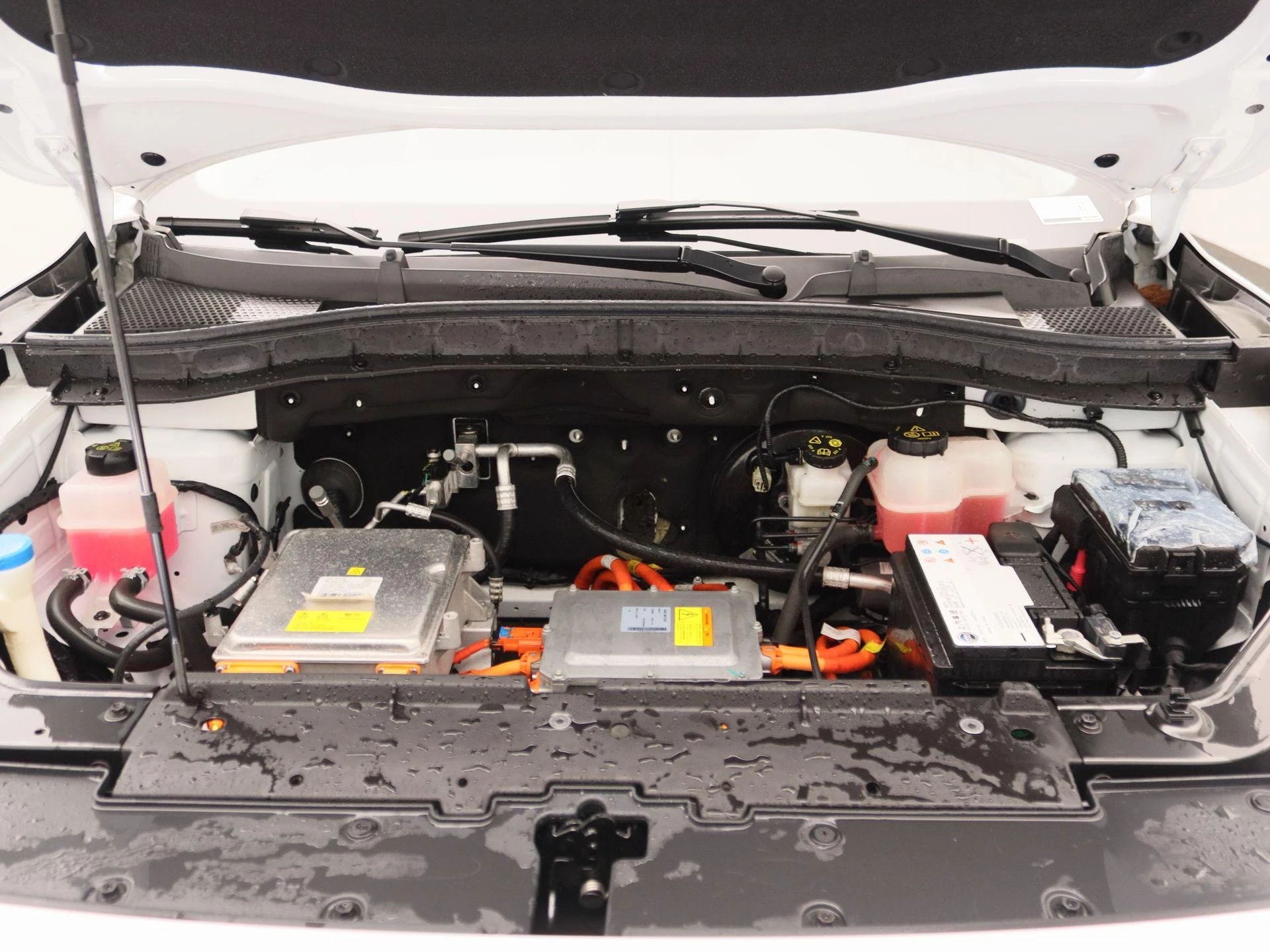 MG-ZS EV-image-27