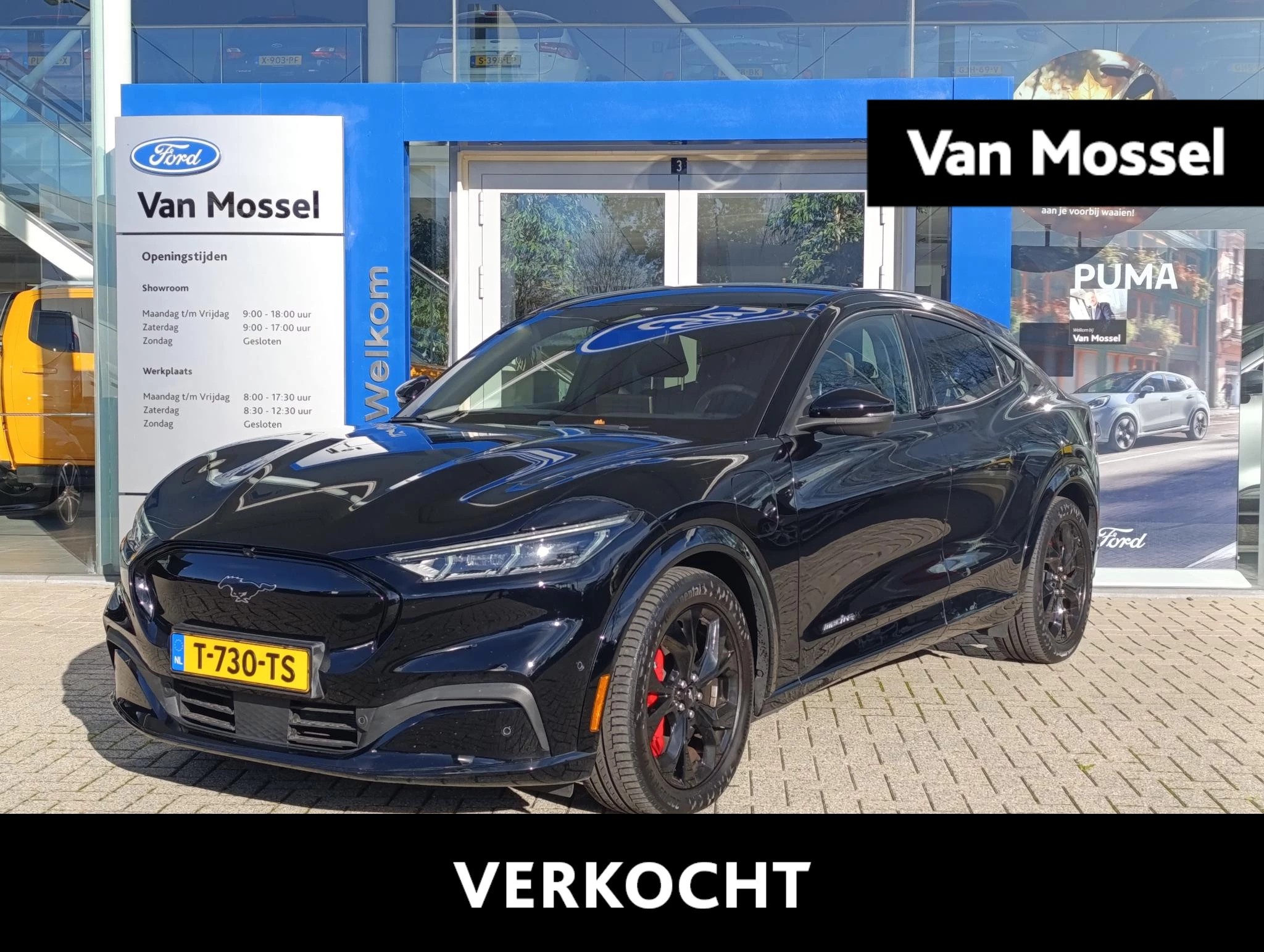 Ford-Mustang Mach-E-image-0