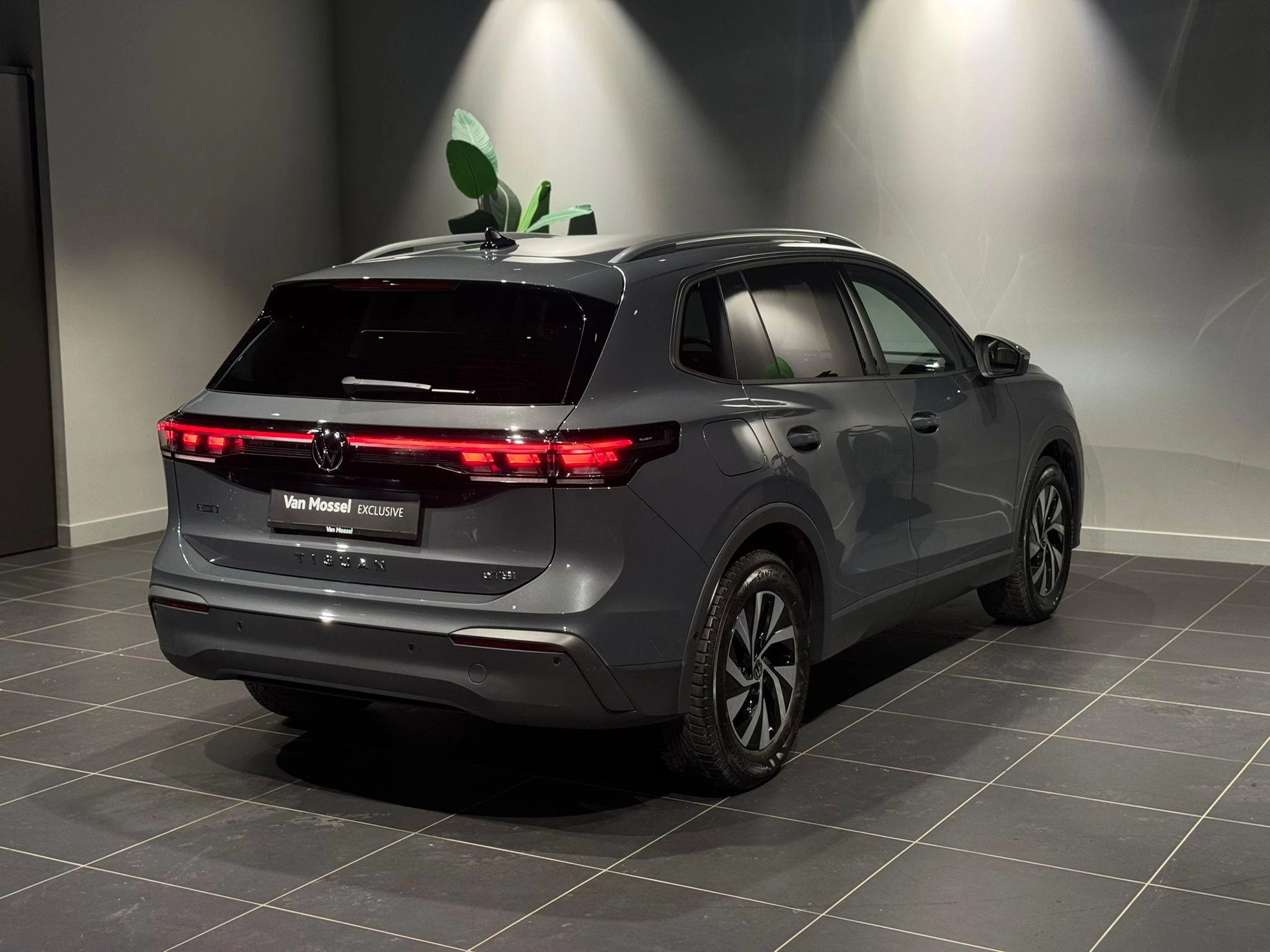 Volkswagen-Tiguan-image-6