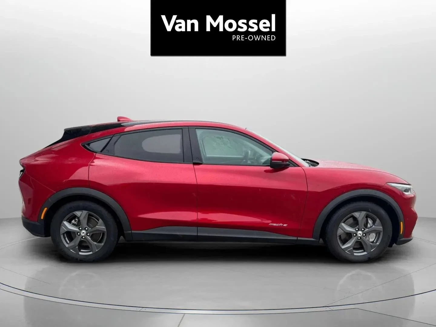 Ford-Mustang Mach-E-image-3