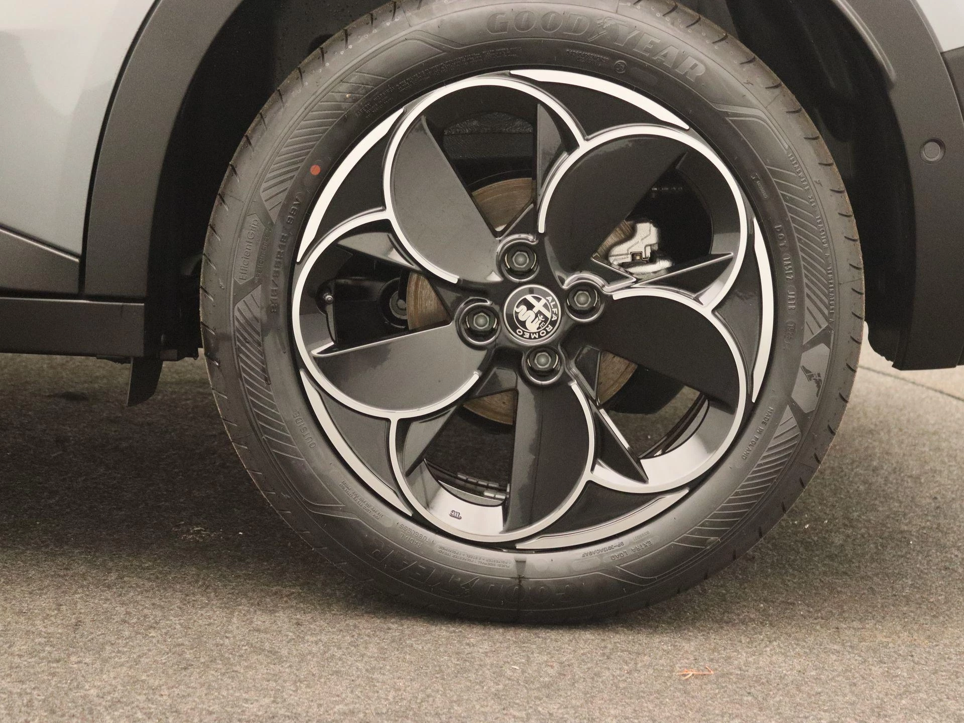 Alfa Romeo-Junior-image-20