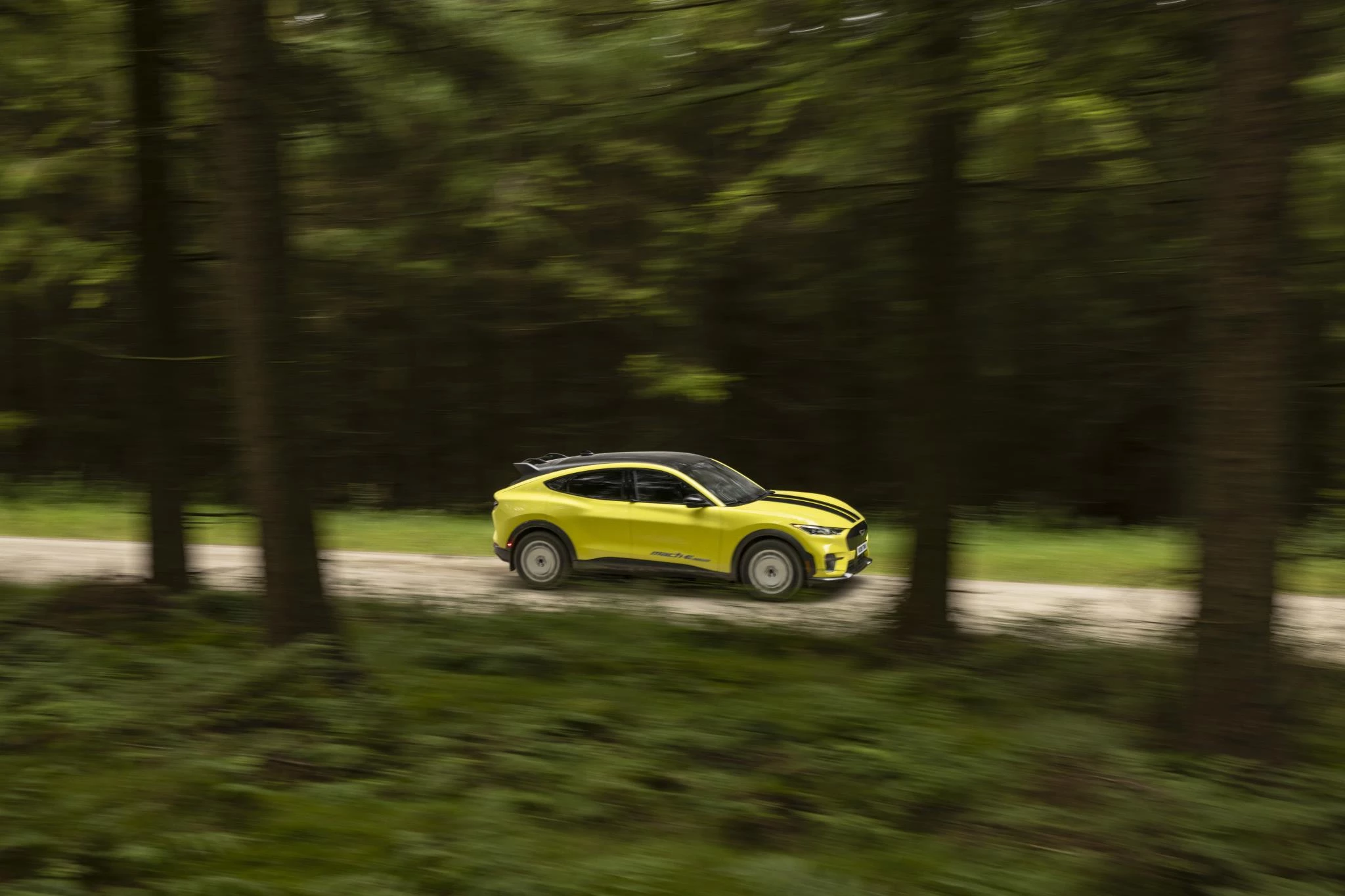 Ford-Mustang Mach-E-image-8