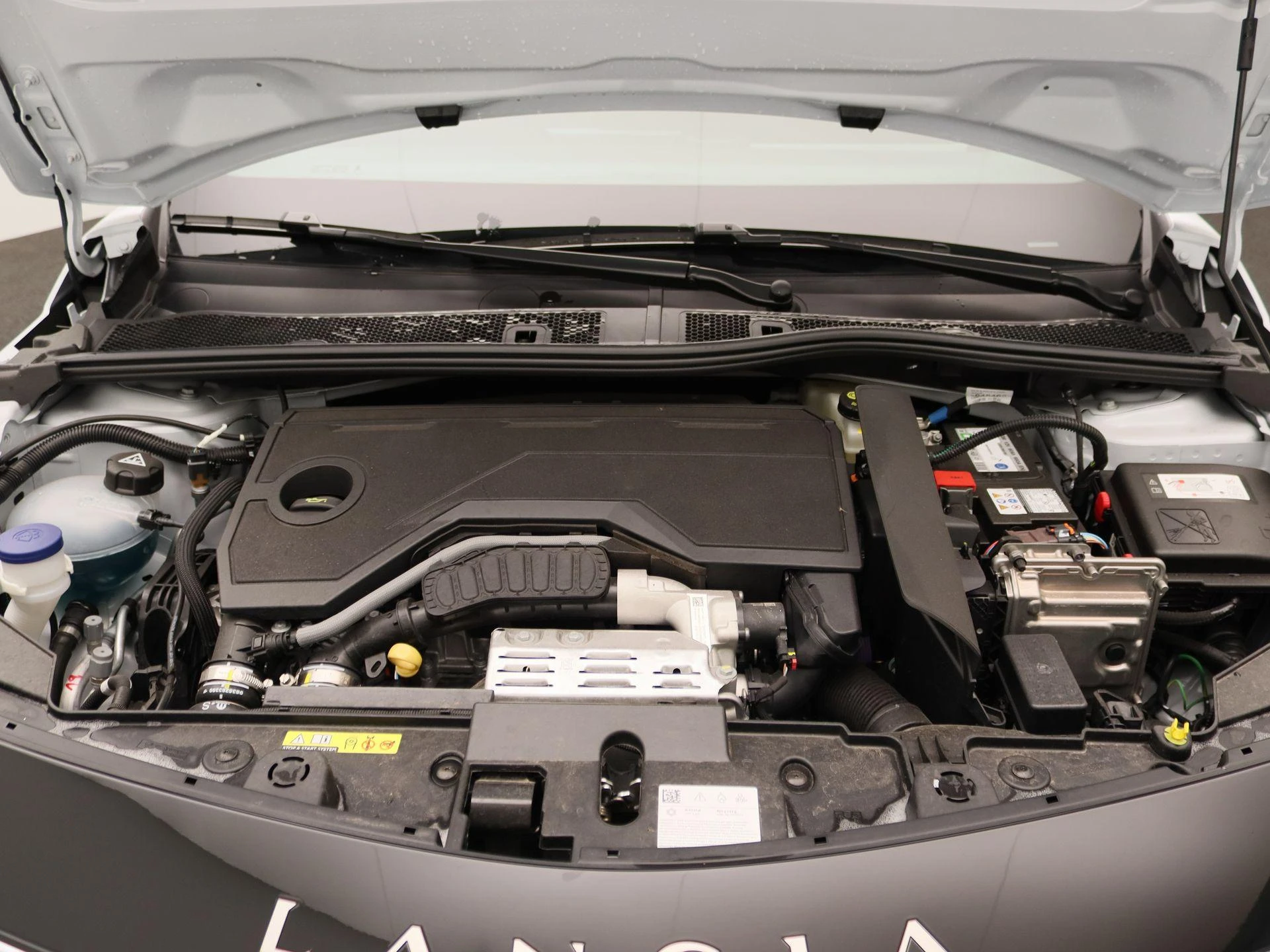 Lancia-Ypsilon-image-23
