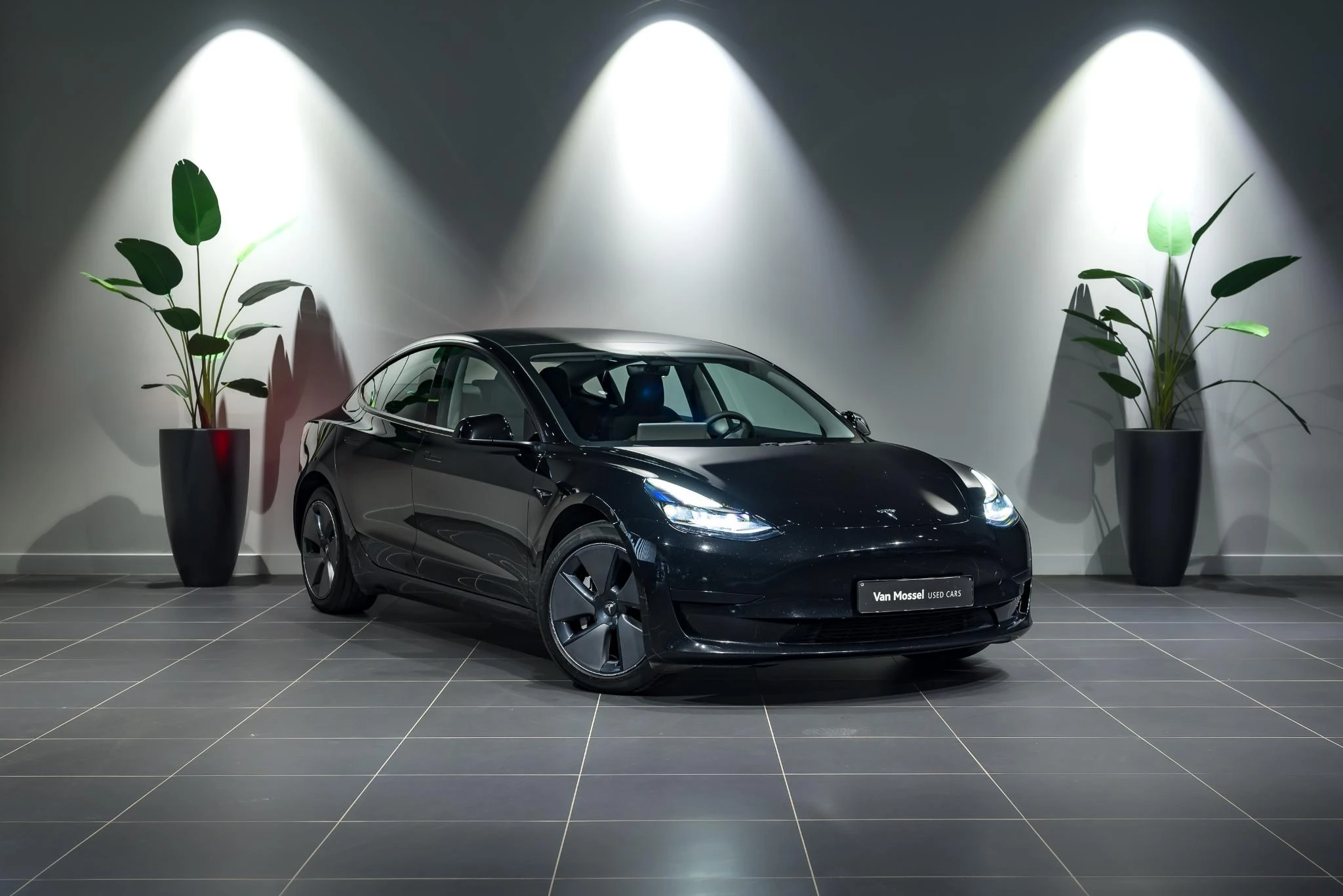 Tesla-Model 3-image-2