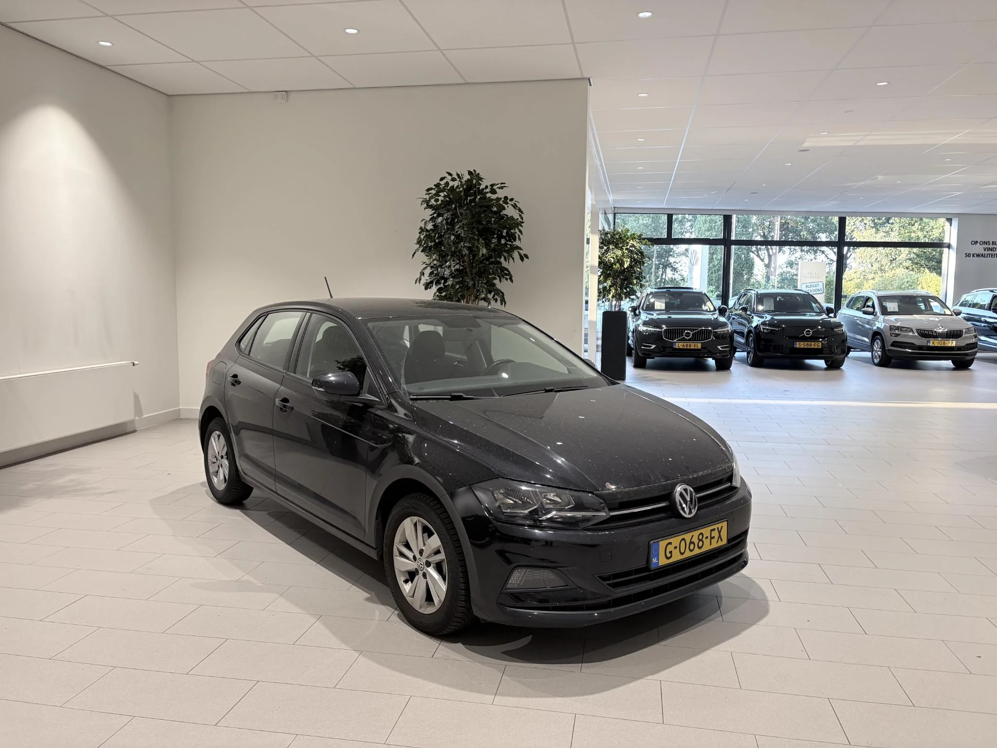 Volkswagen-Polo-image-5