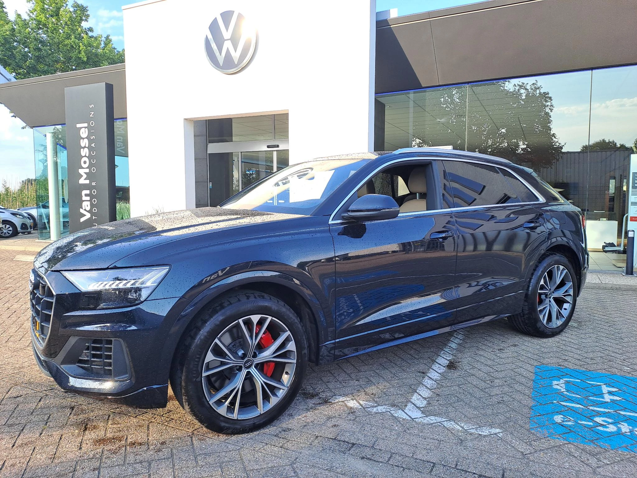 Audi-Q8-image-1