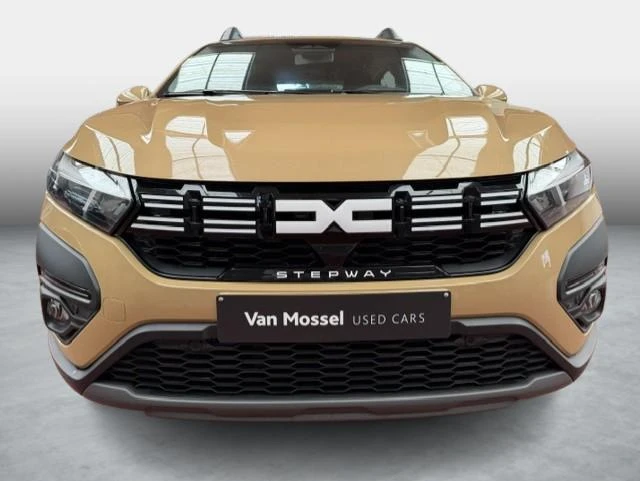 Dacia-Sandero Stepway-image-1