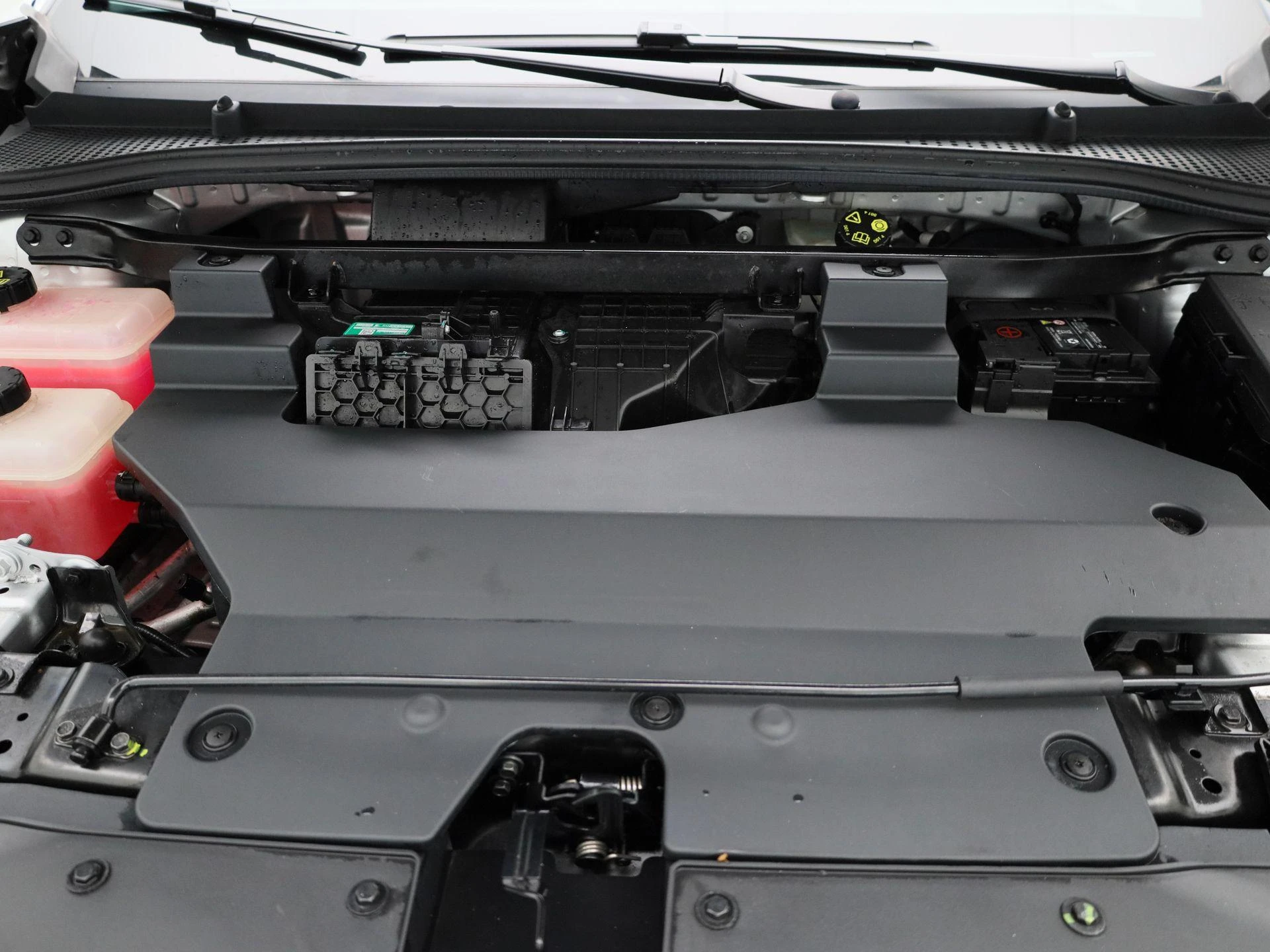 MG-MG4 EV-image-27