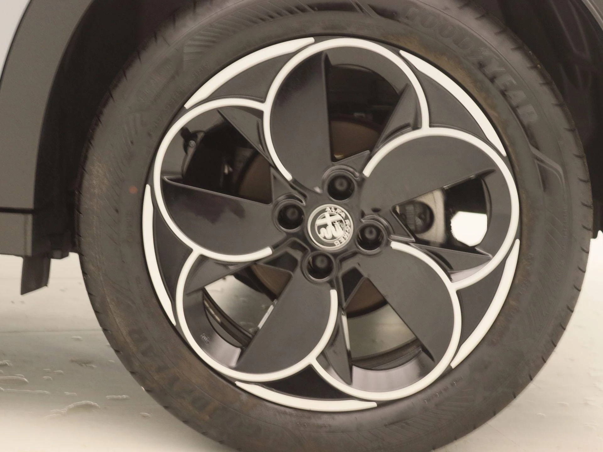 Alfa Romeo-Junior-image-18