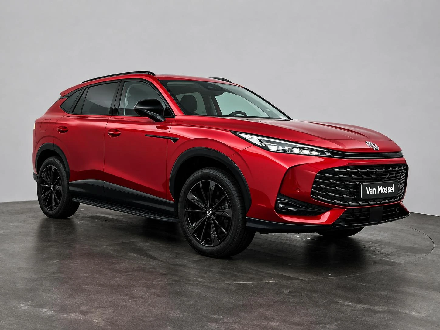 MG-HS-image-1