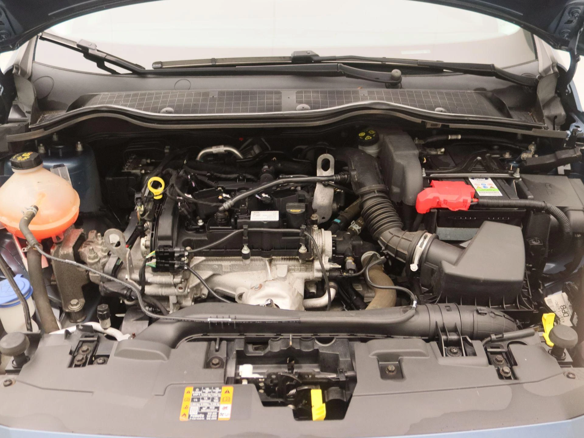 Ford-Fiesta-image-24