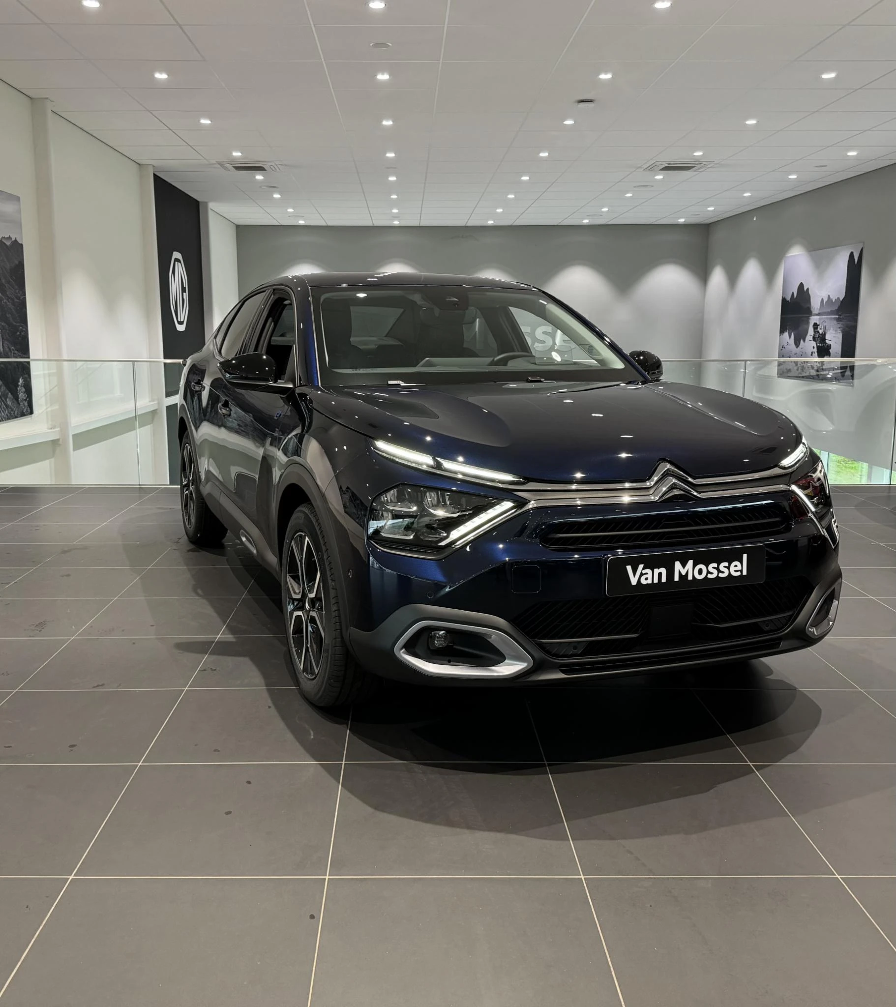 Citroën-ë-C4 X-image-2