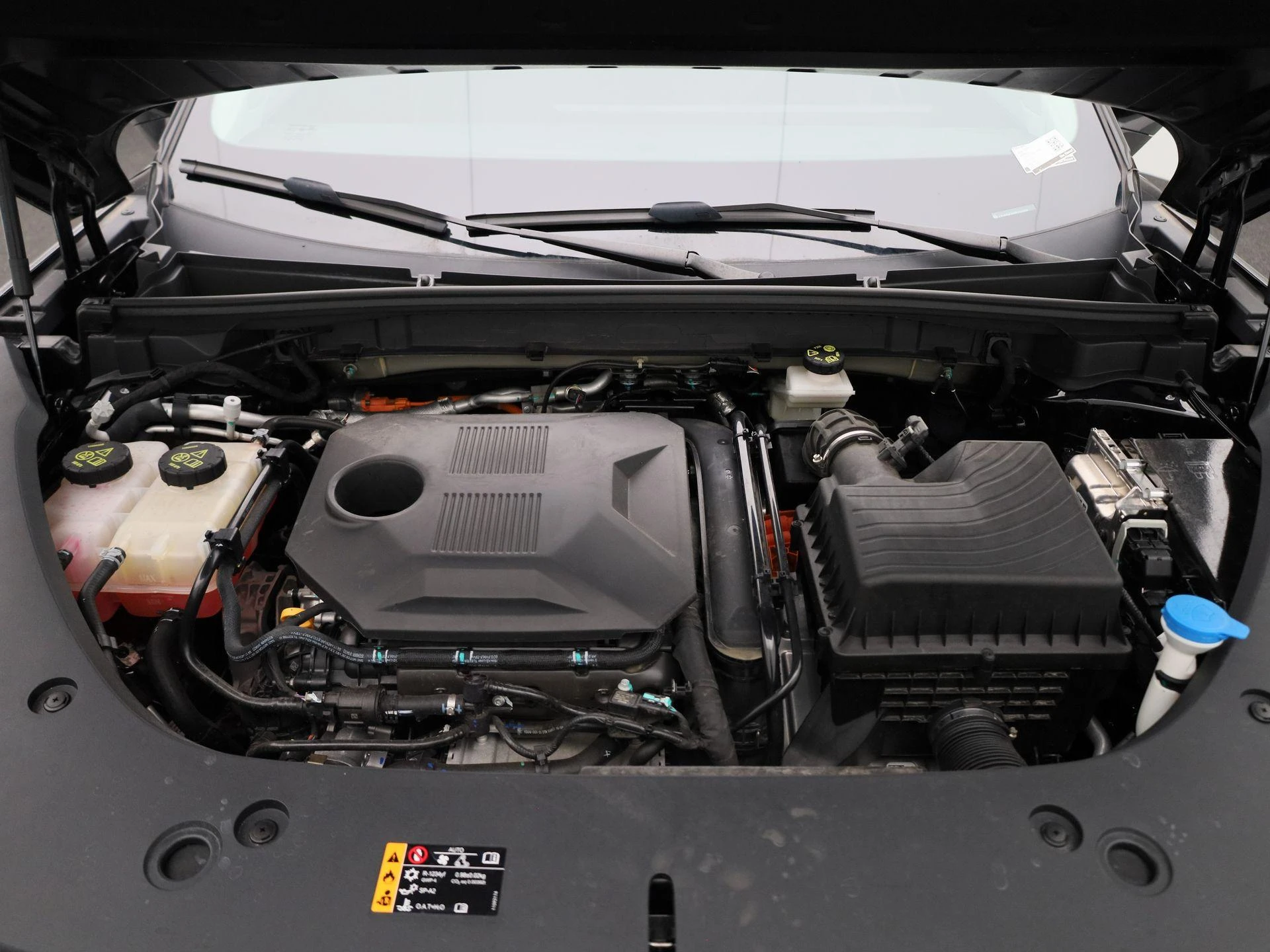 MG-HS-image-37