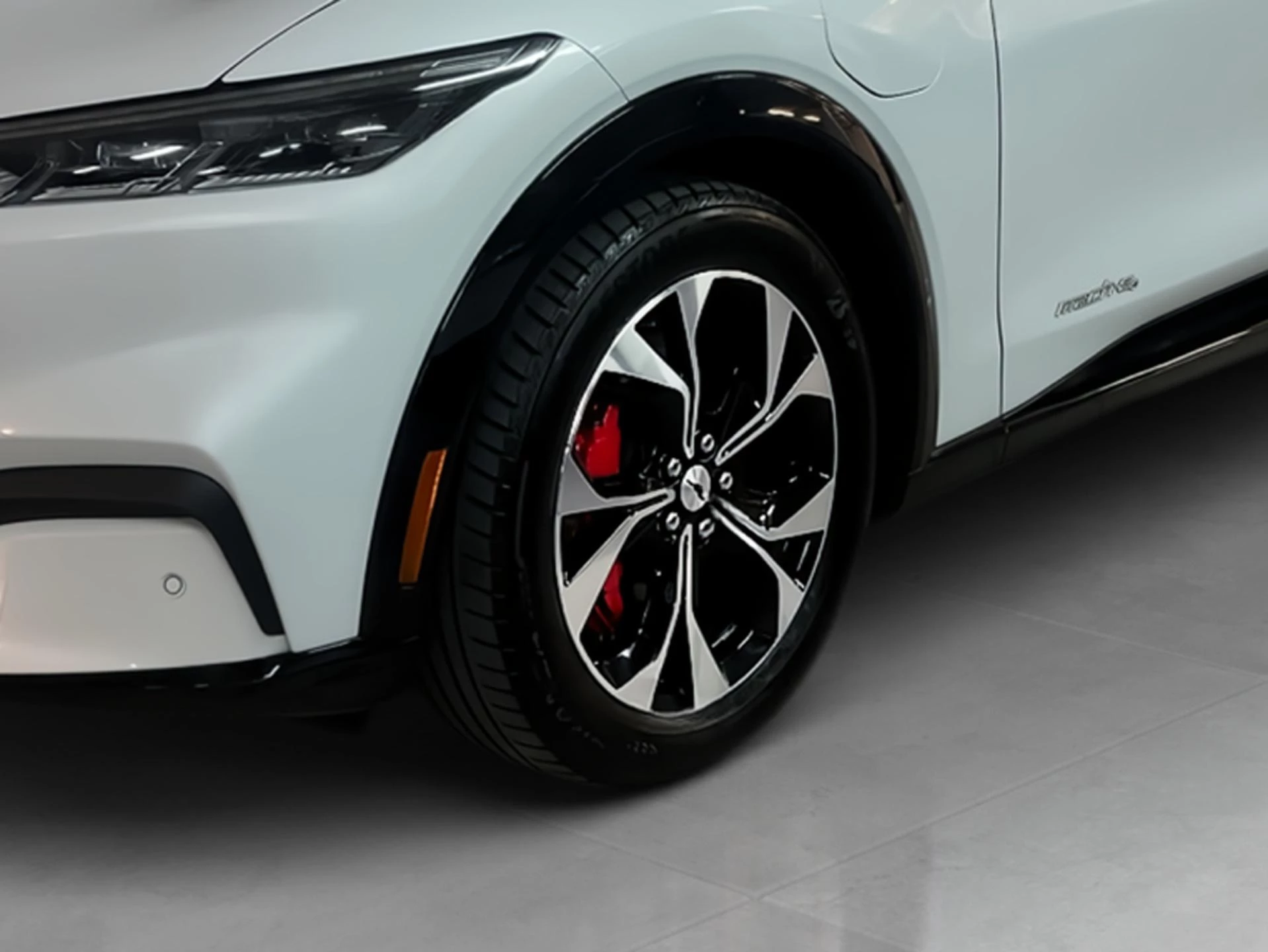 Ford-Mustang Mach-E-image-19