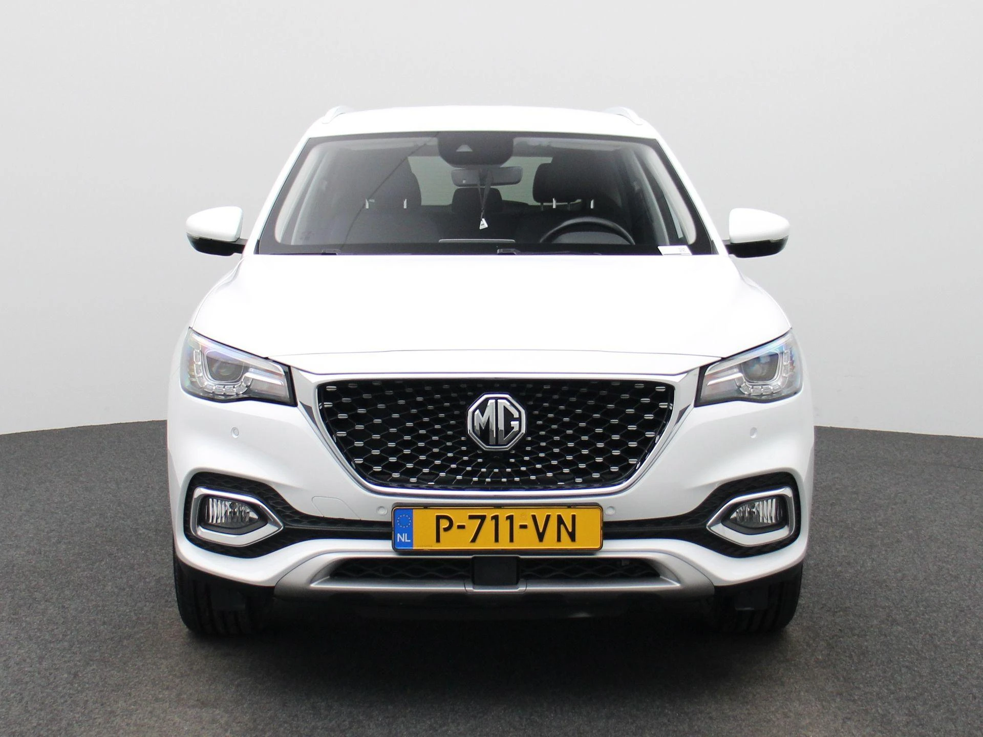 MG-EHS-image-2