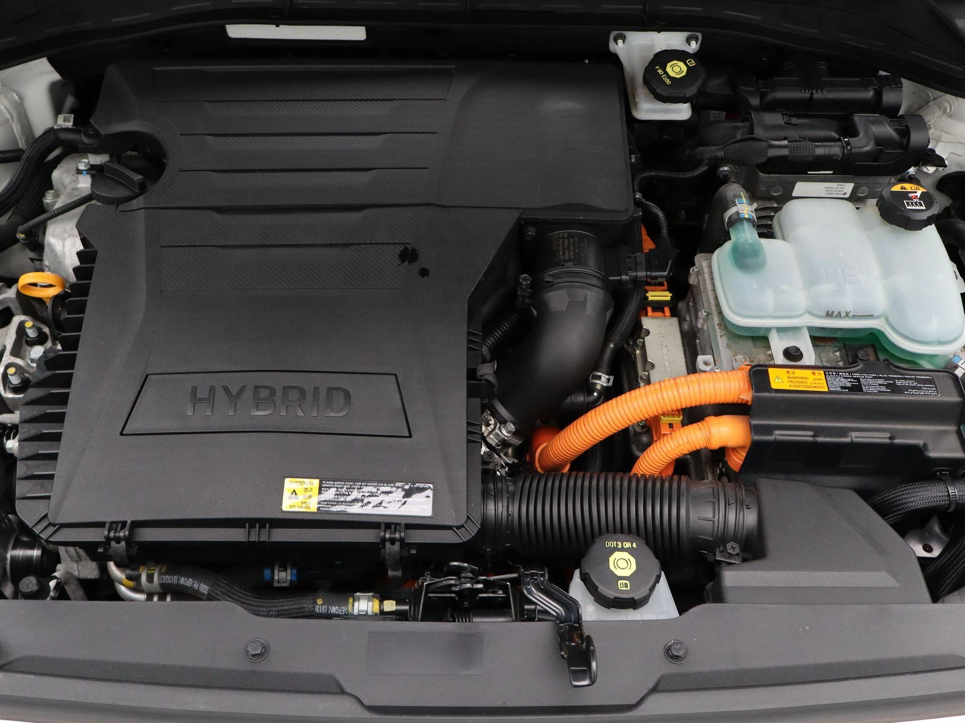 Kia-Niro-image-31