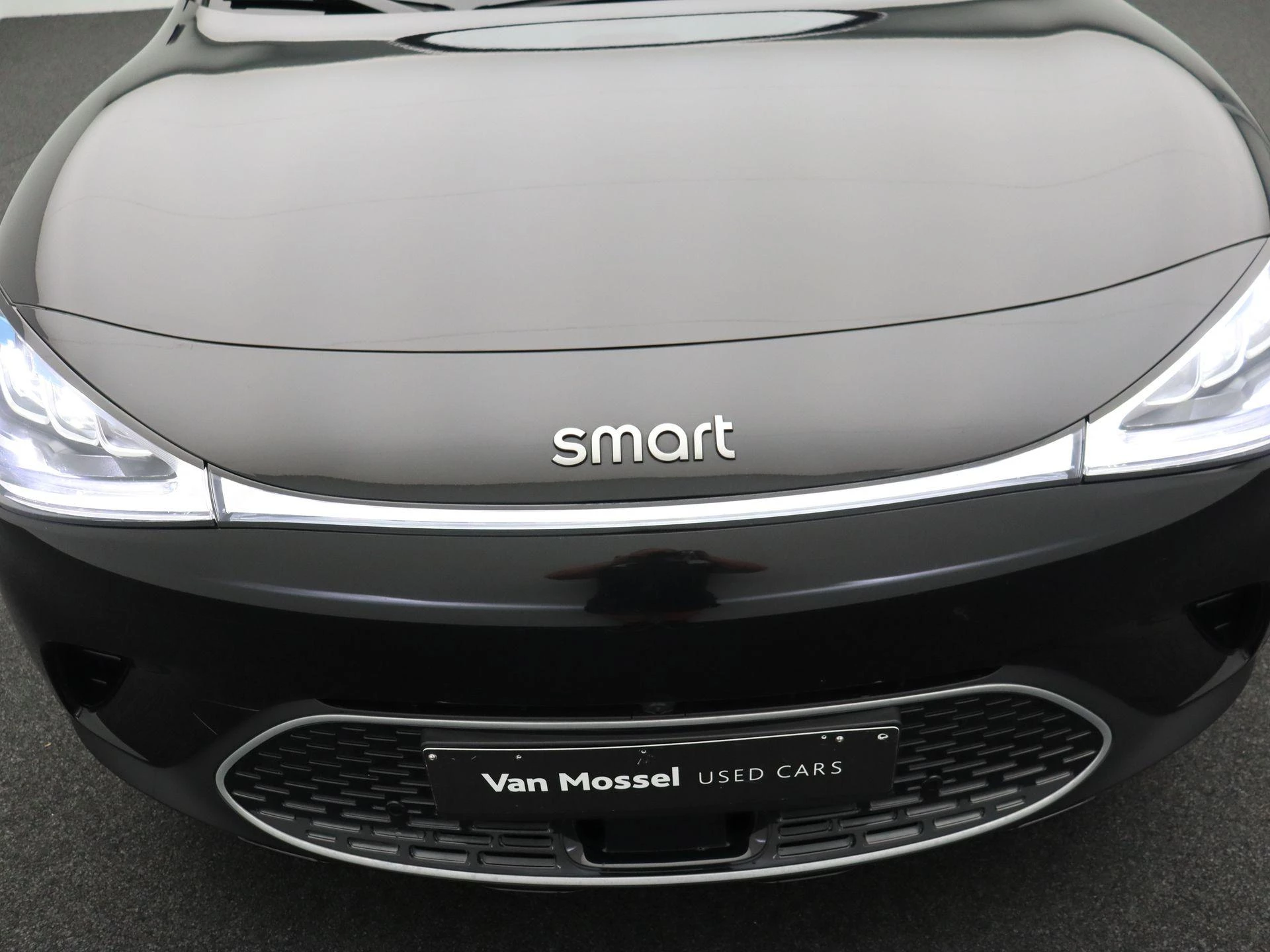 smart #1 Pulse