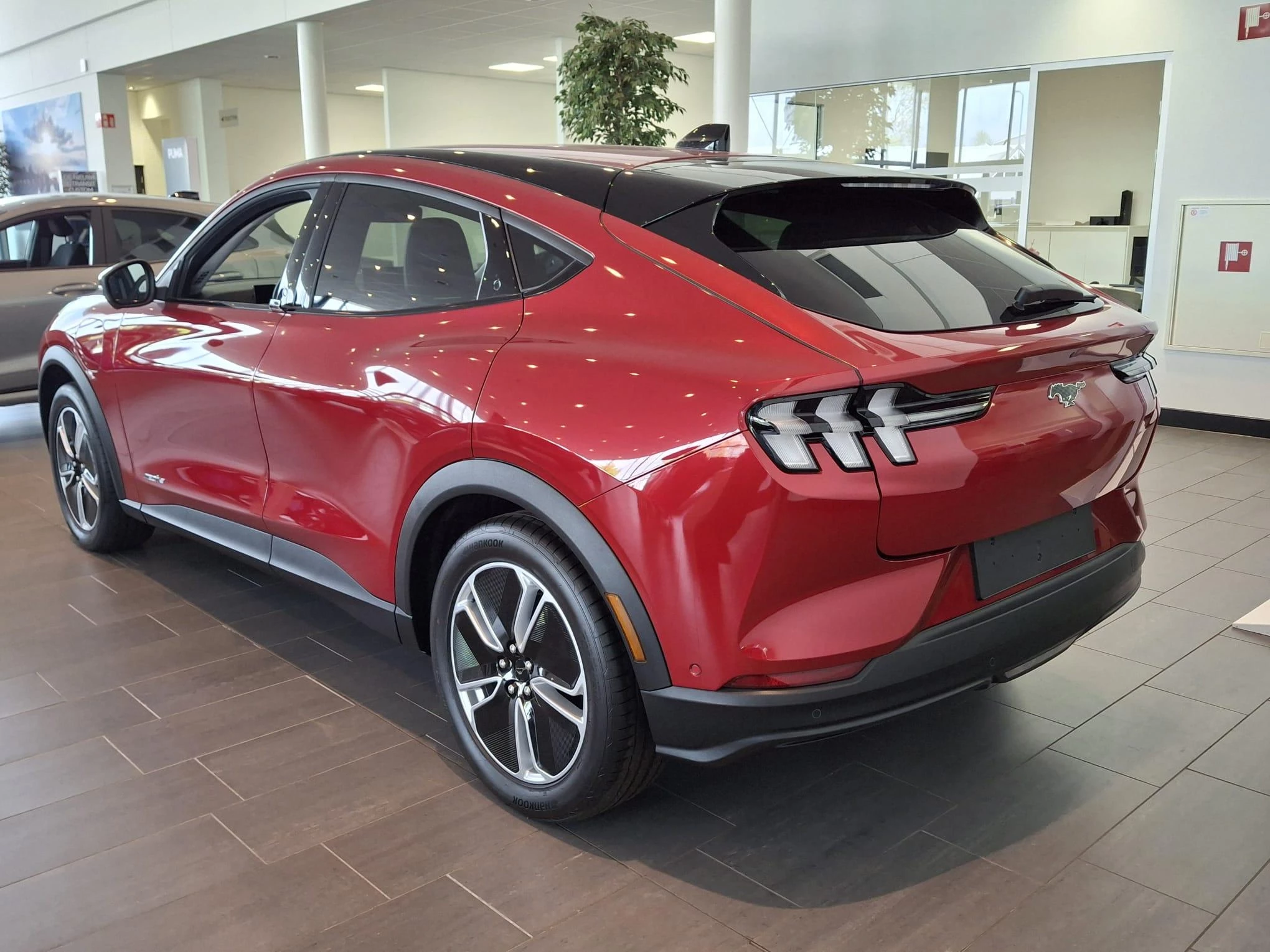 Ford-Mustang Mach-E-image-1