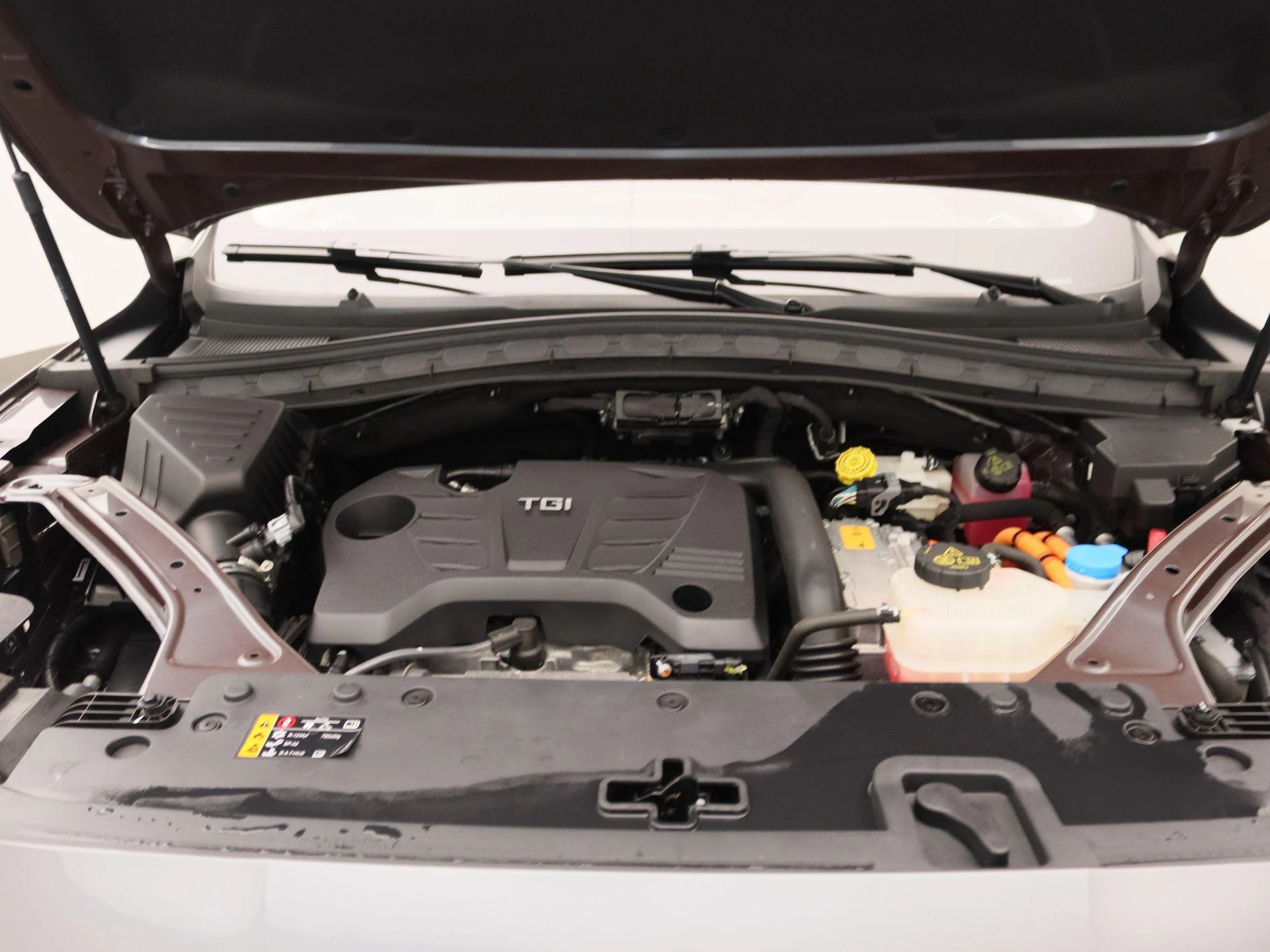 MG-EHS-image-29