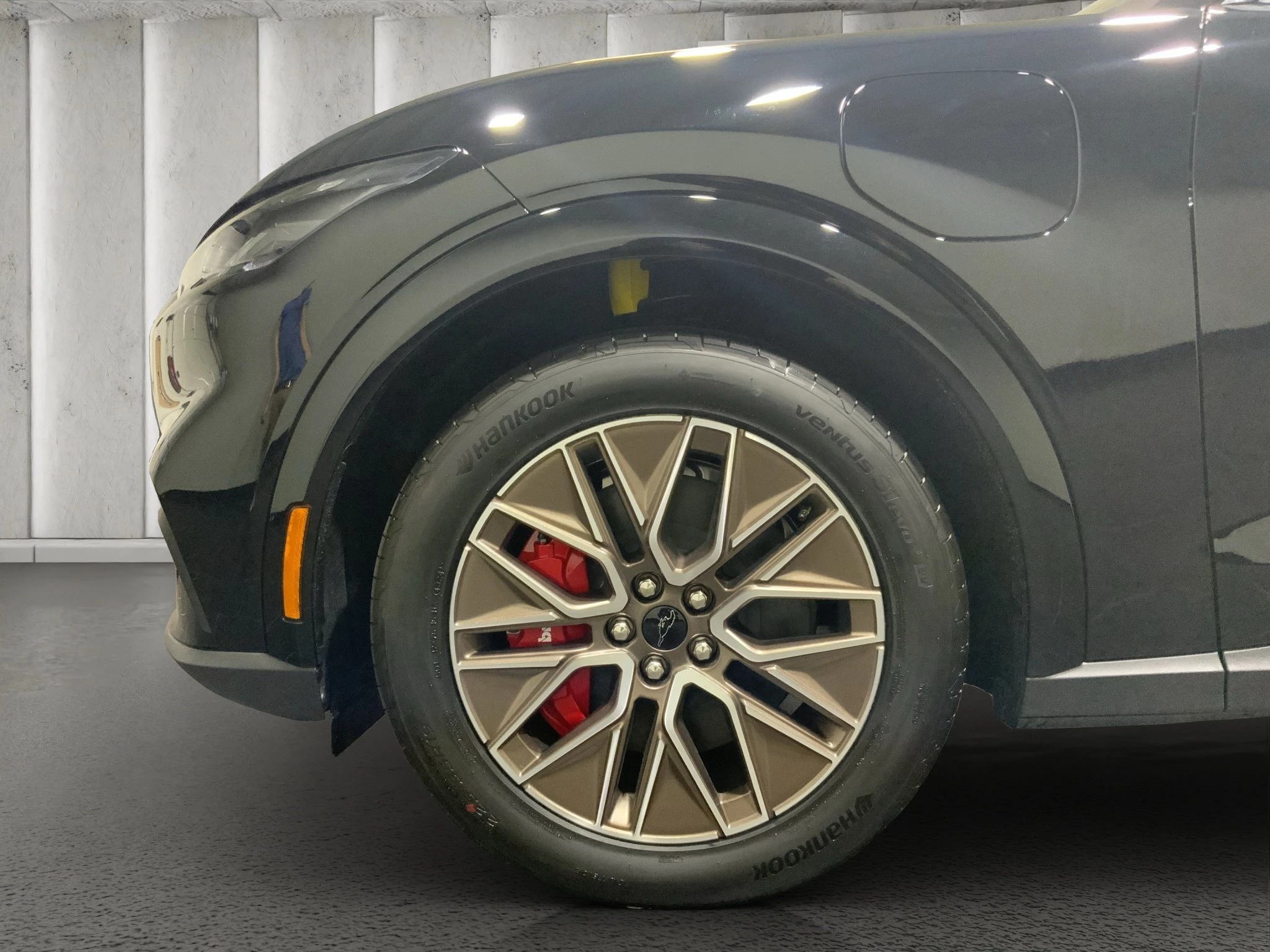 Ford-Mustang Mach-E-image-8