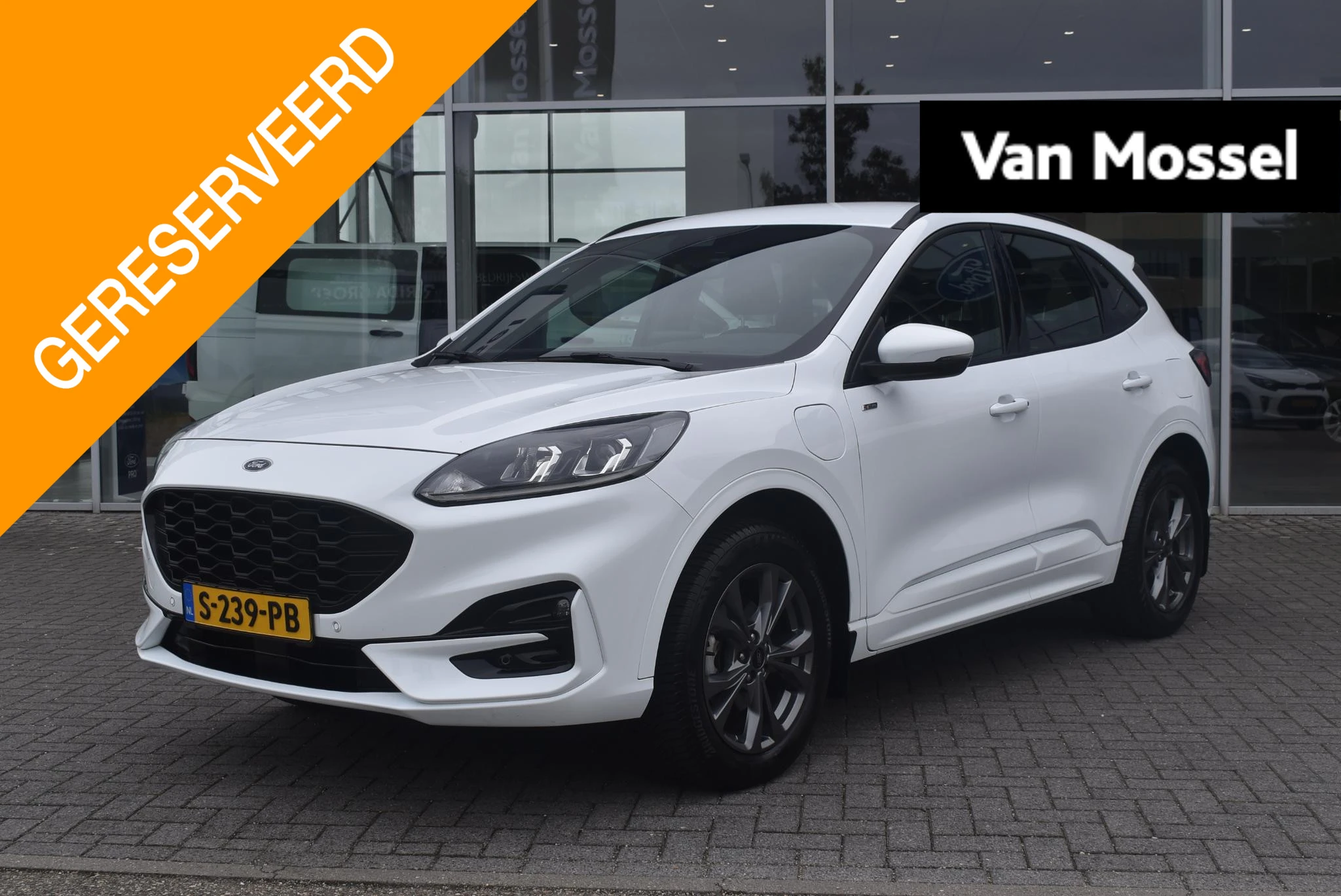Ford-Kuga-image-0