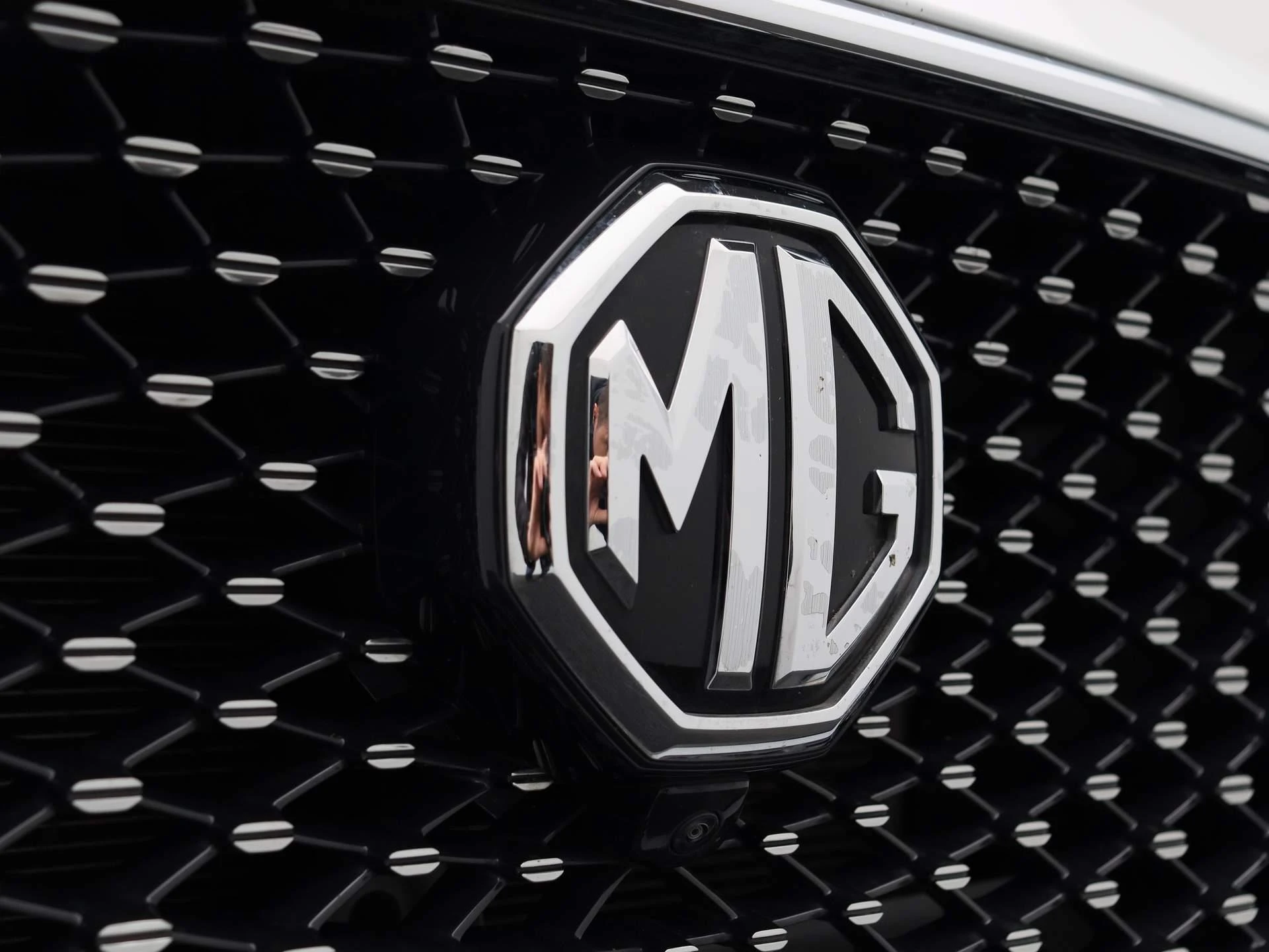 MG-EHS-image-9