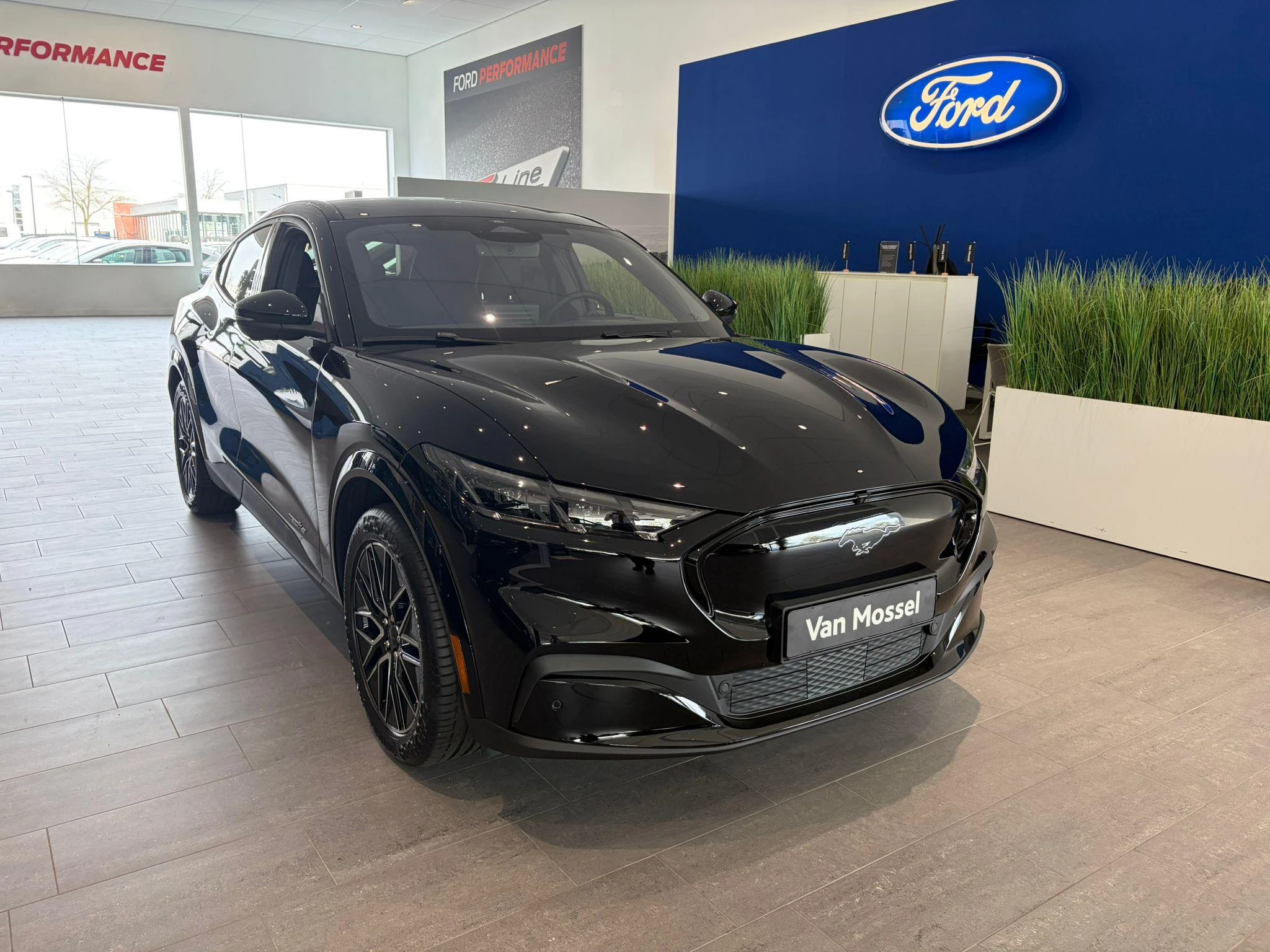 Ford-Mustang Mach-E-image-2