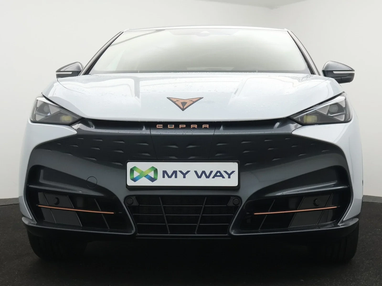 CUPRA Tavascan Tavascan Endurance Corporate 286pk DEMO