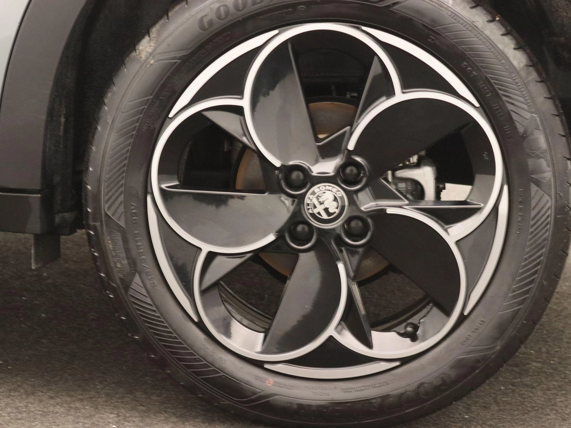 Alfa Romeo-Junior-image-14