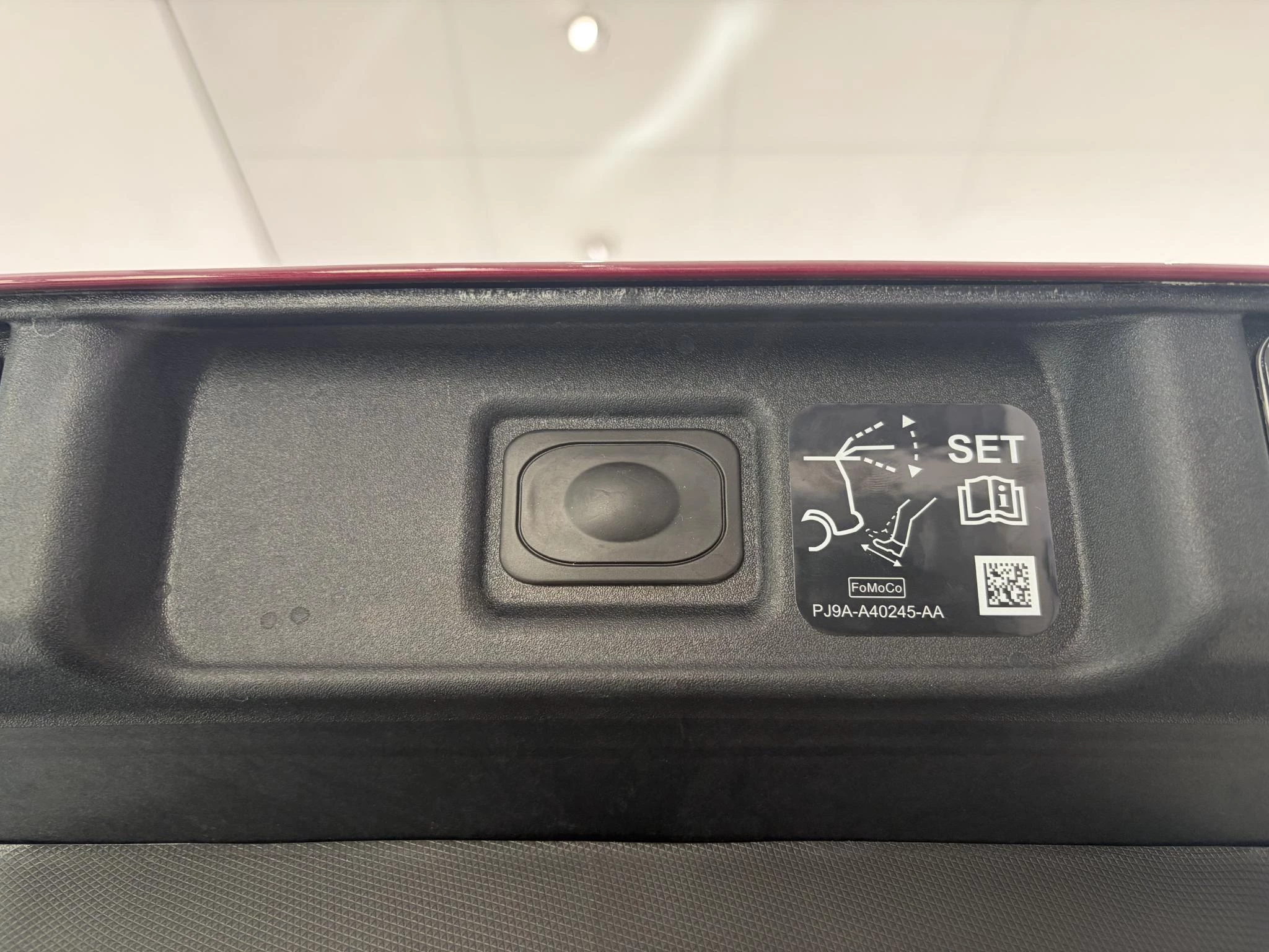 Ford-Mustang Mach-E-image-8