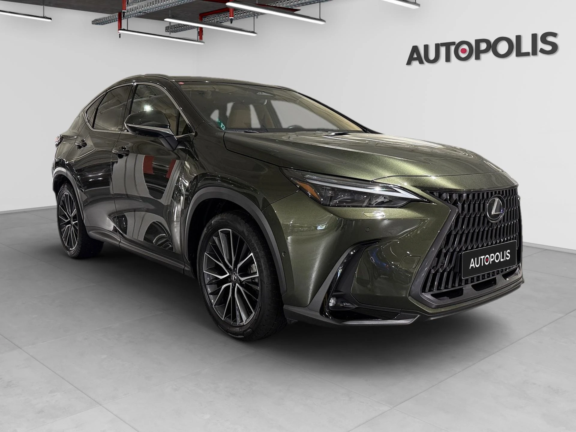 Lexus-NX-image-19
