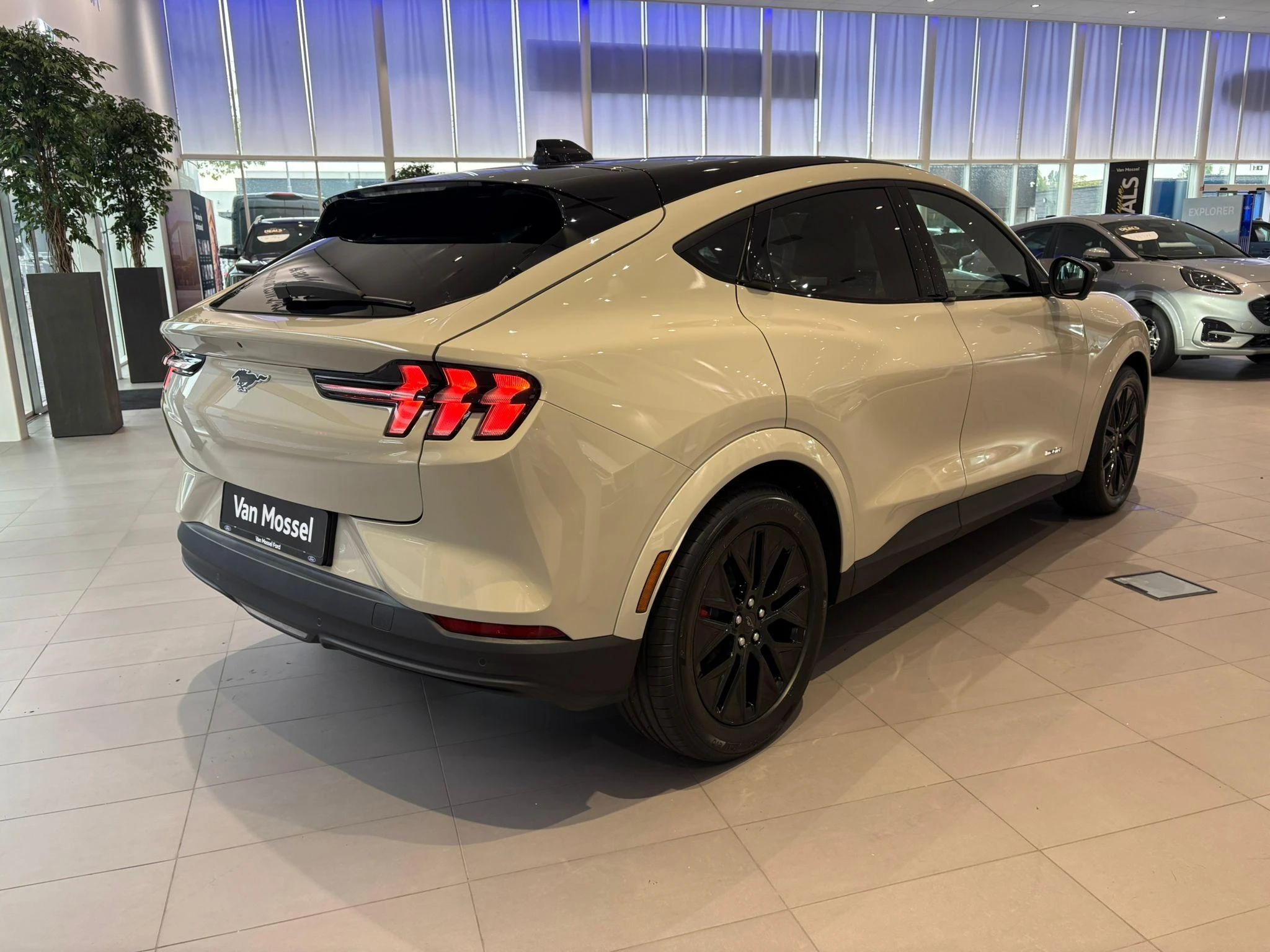 Ford-Mustang Mach-E-image-11