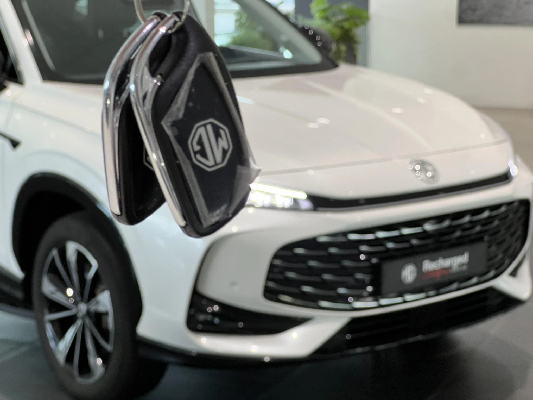 MG-HS-image-8