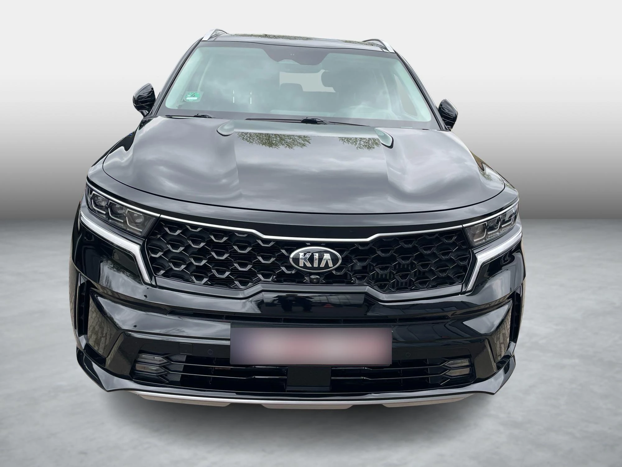 Kia Sorento Pace 1.6 PHEV 4WD AT
