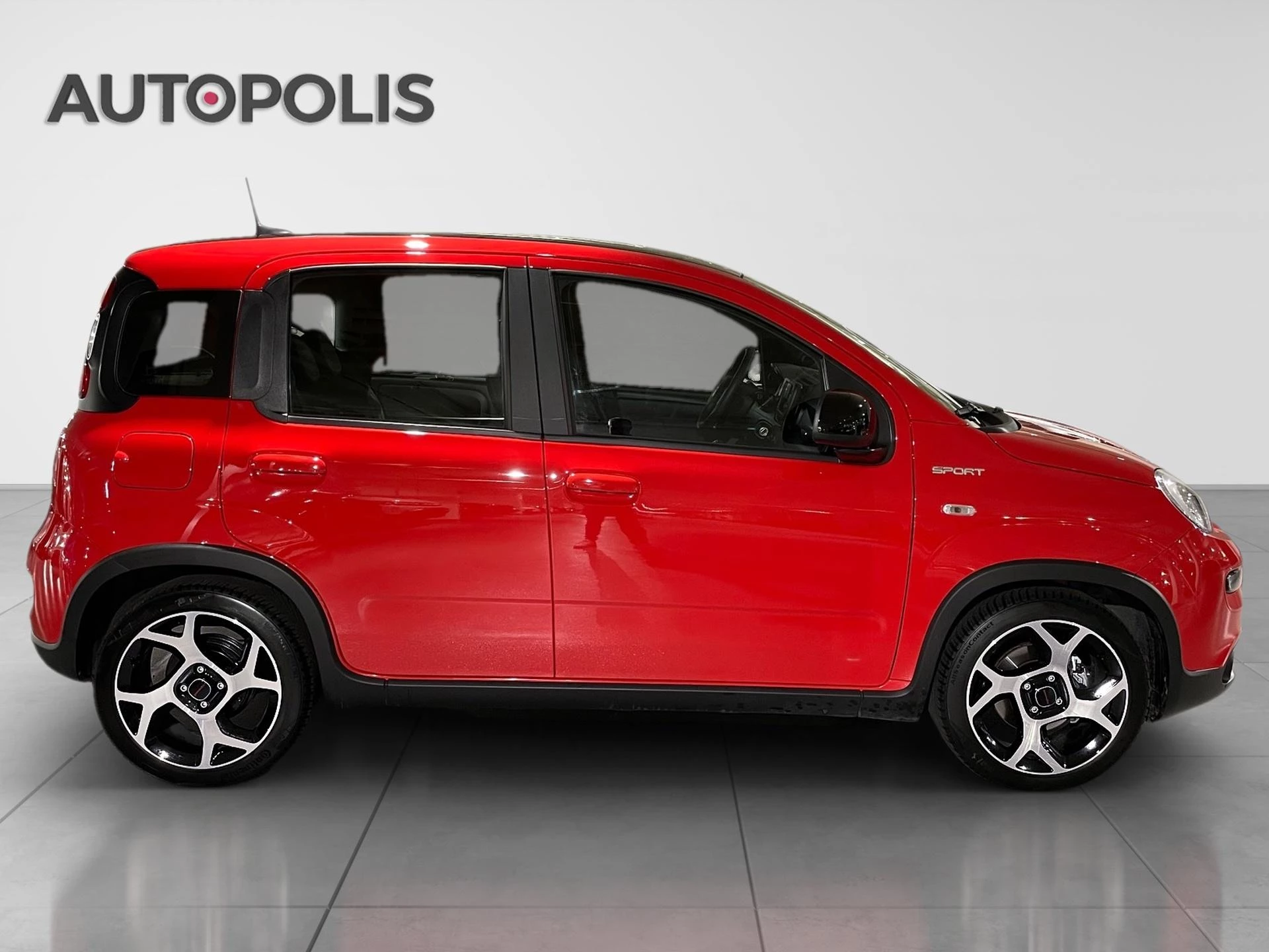 Fiat-Panda-image-15