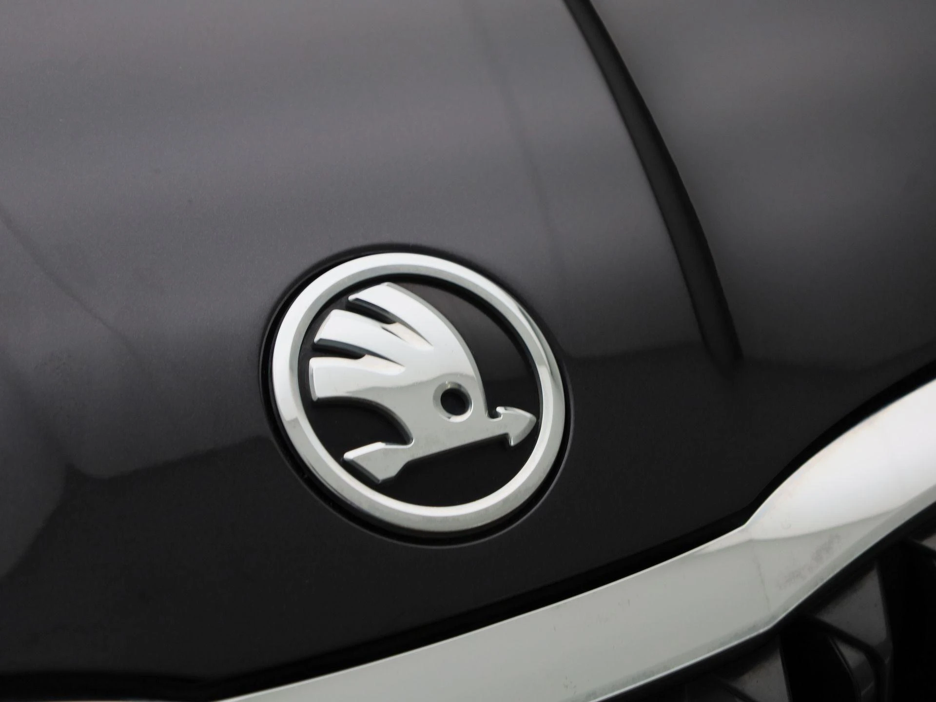 Škoda-Octavia-image-33